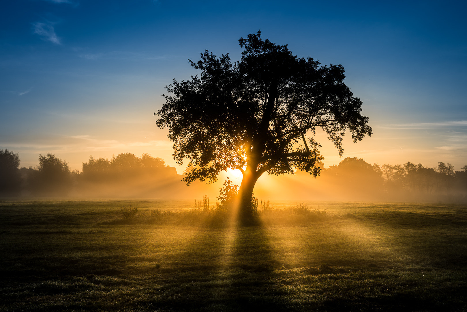 Sony a7R II + Canon EF 16-35mm F4L IS USM sample photo. Sunbeamstree photography