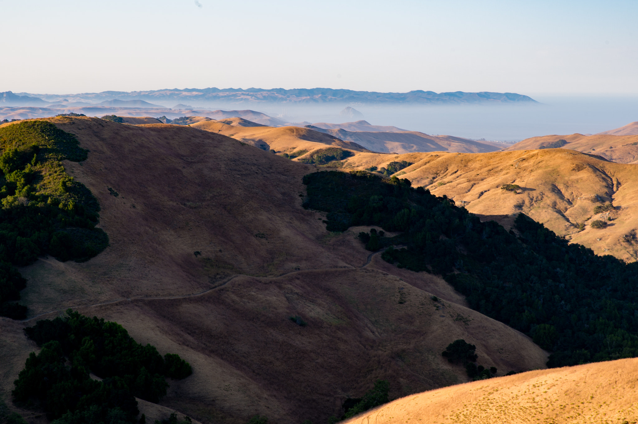 Nikon Df sample photo. Northern california photography