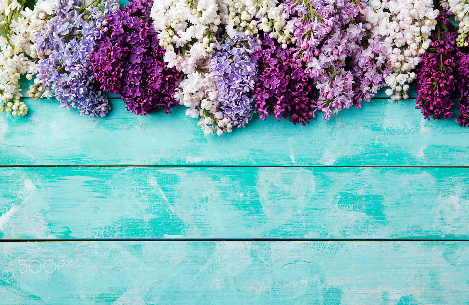 Canon EOS 5DS sample photo. Bunch of lilac flowers on a turquoise wooden background top view copy space photography
