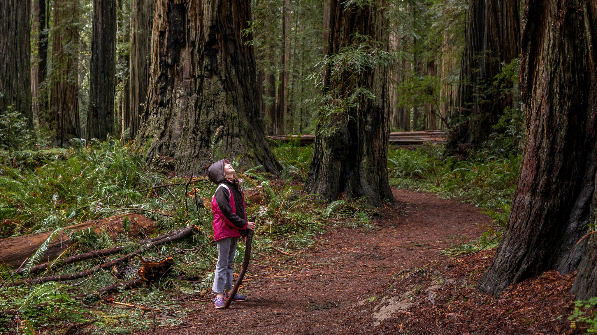Sony E 20mm F2.8 sample photo. Age of wonder photography