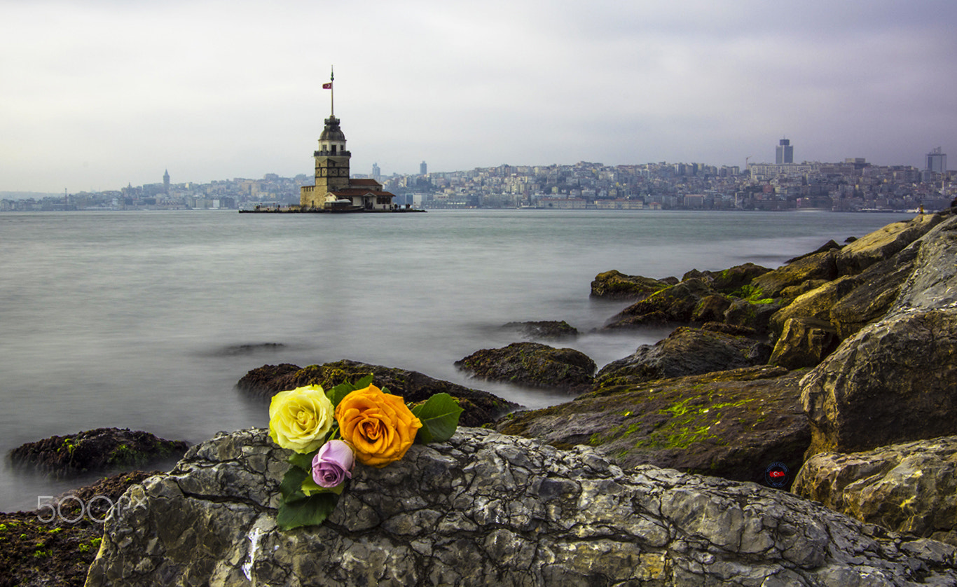 Pentax K-3 II sample photo. Lovers where the? photography