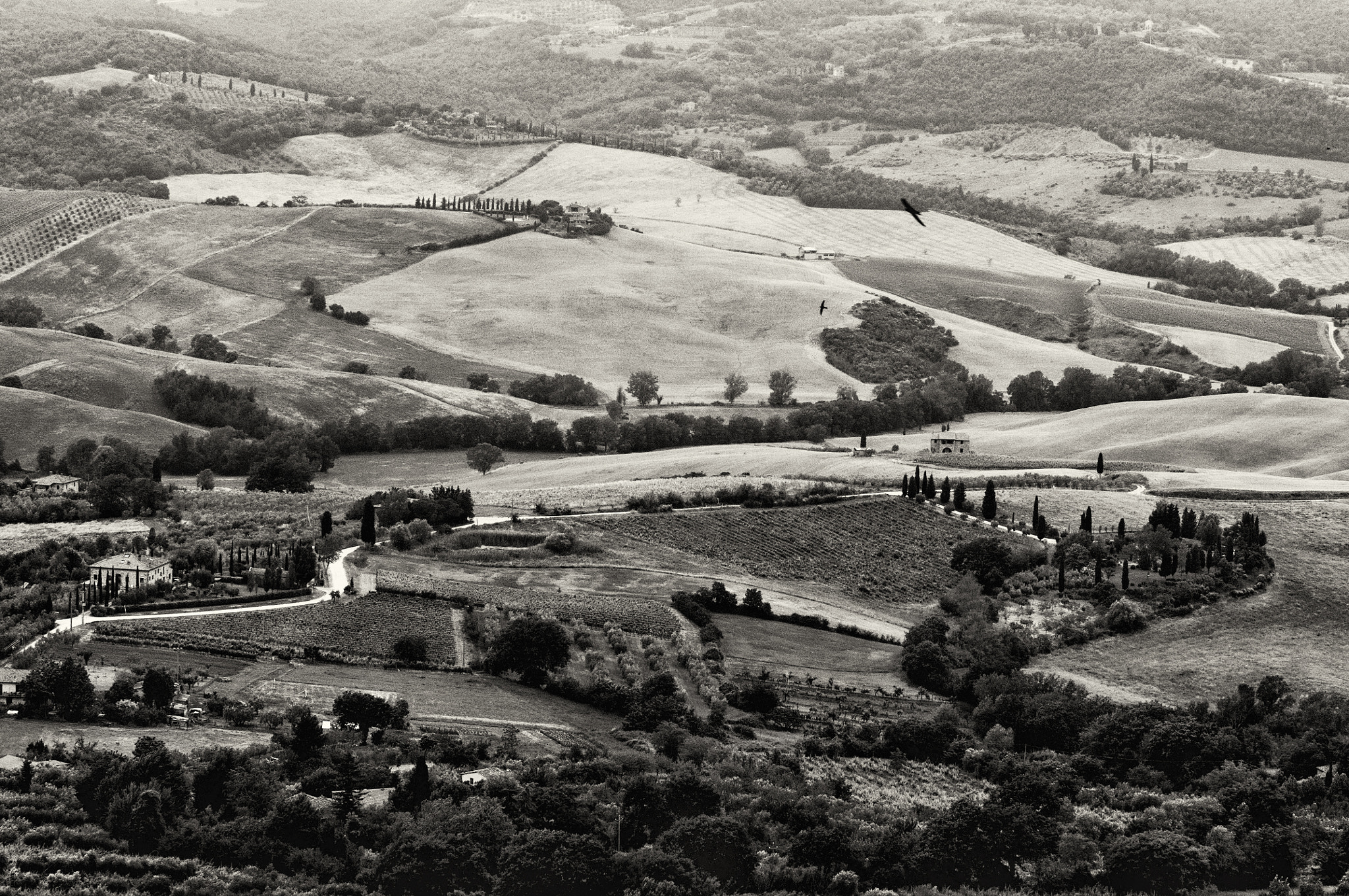 Nikon D90 + Sigma 70-200mm F2.8 EX DG OS HSM sample photo. Over the hills of tuscany photography