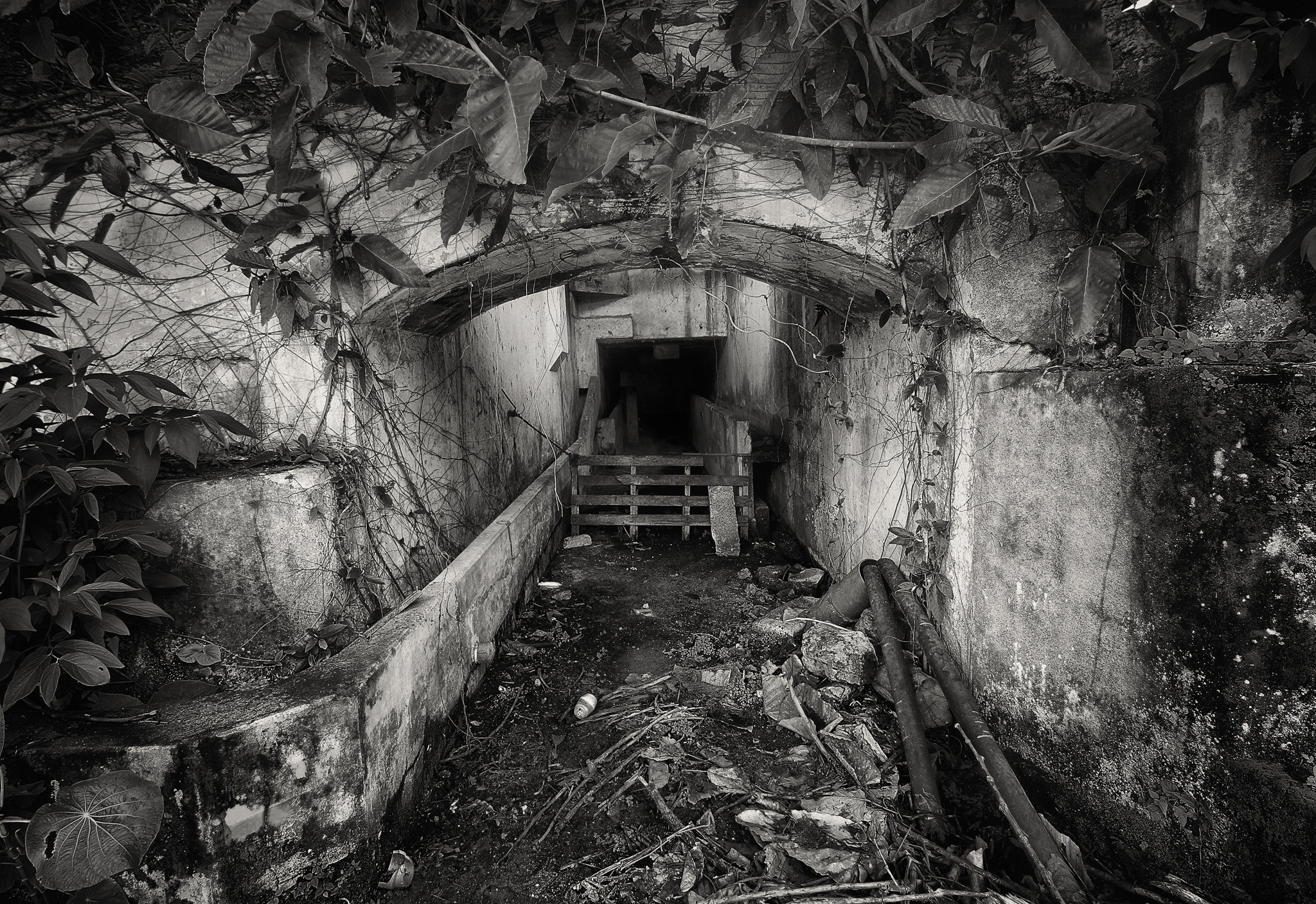 Sigma 10-20mm F3.5 EX DC HSM sample photo. The entrance photography