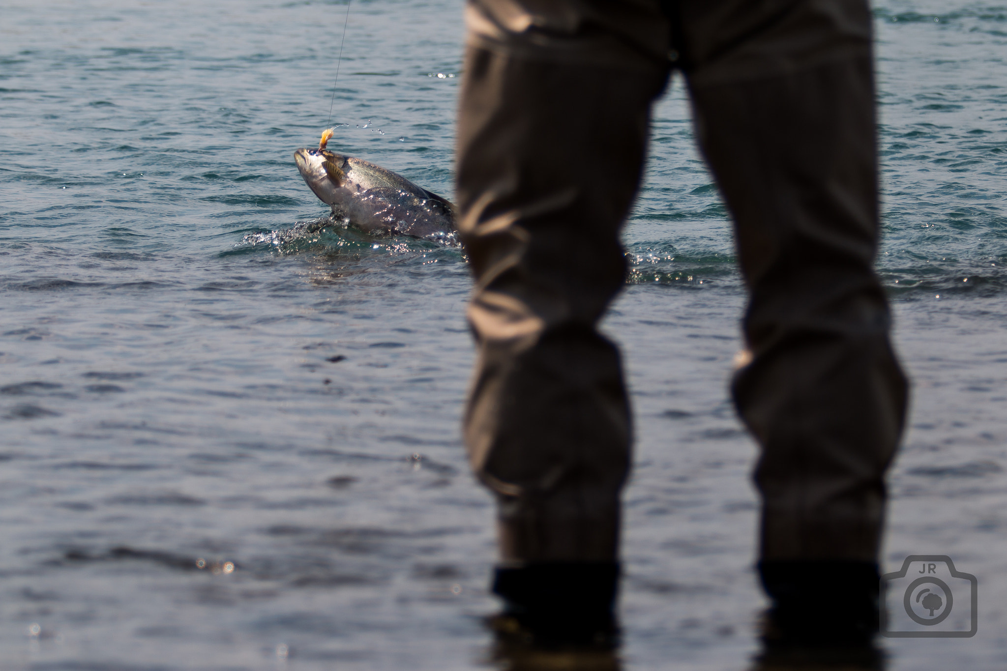 Canon EOS 70D + Canon EF 70-200mm F2.8L USM sample photo. Close photography