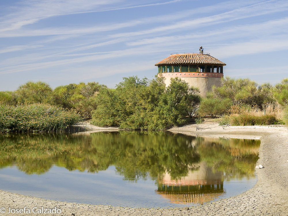 Tamron 14-150mm F3.5-5.8 Di III sample photo. Olympus digital camera, lagunas de villafafila photography