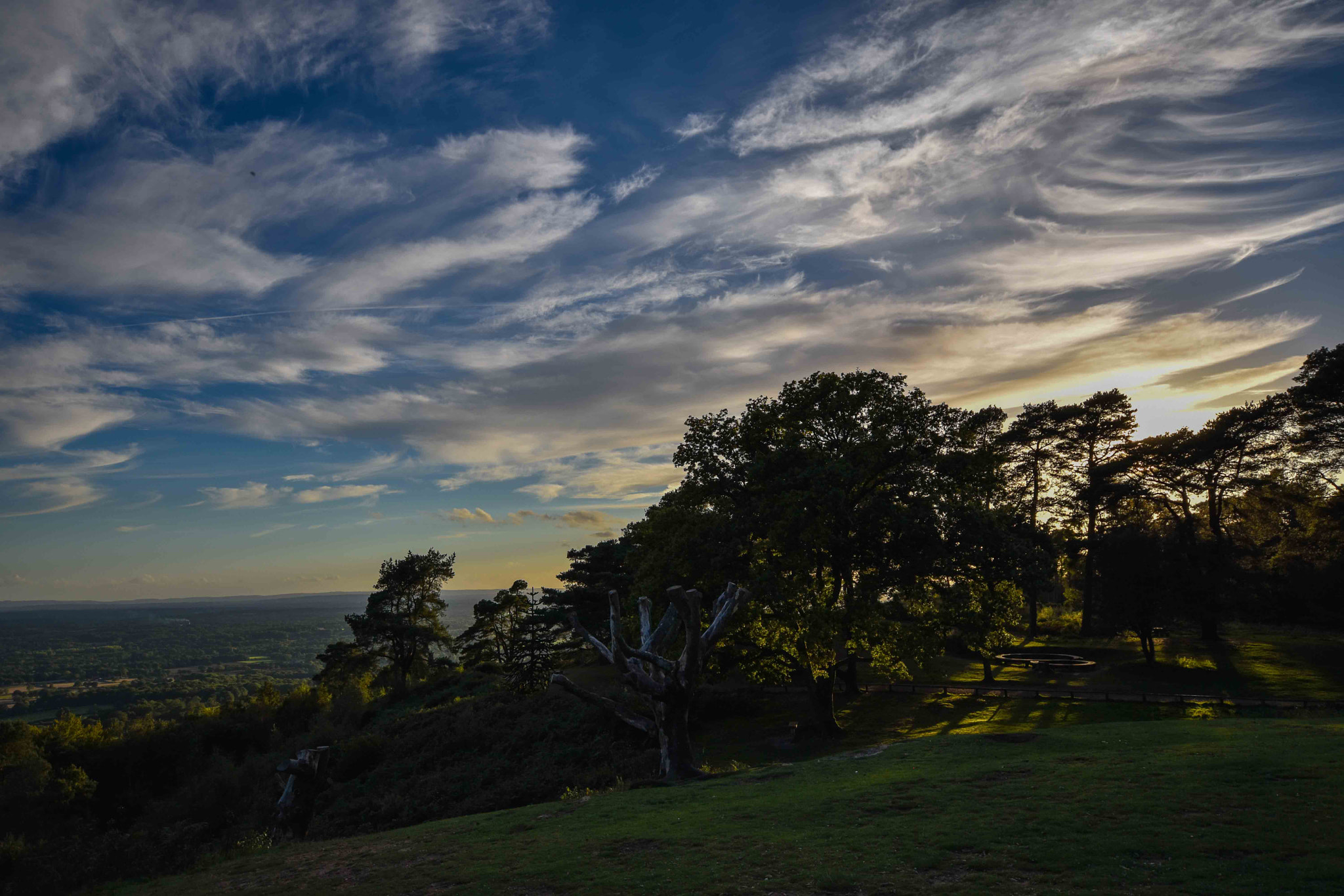 Sigma 10-20mm F4-5.6 EX DC HSM sample photo. Leith hill photography