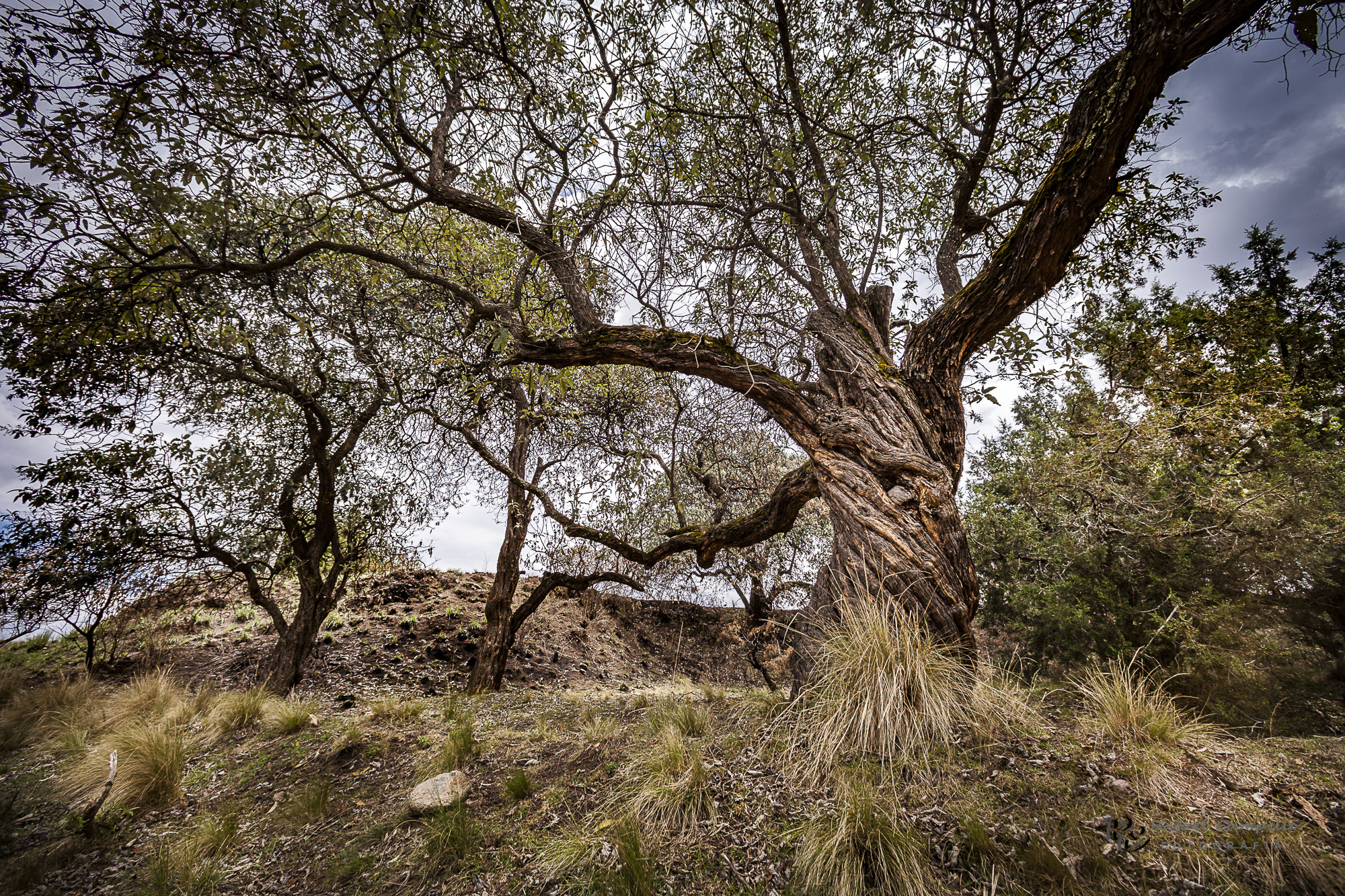 Canon EF 14mm F2.8L USM sample photo. Hacienda santa barbara photography