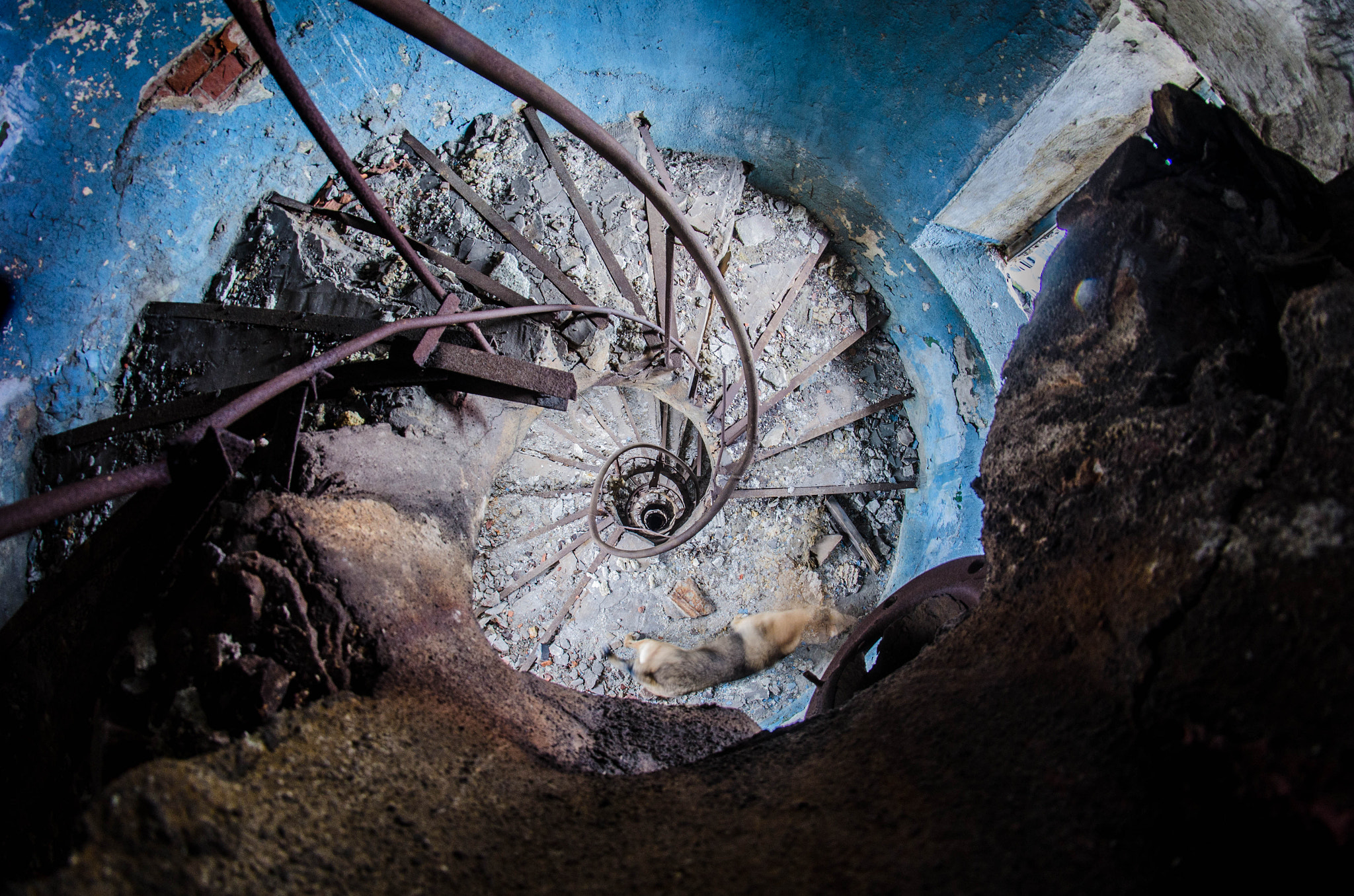 Samyang 8mm F3.5 Aspherical IF MC Fisheye sample photo. Spiral staircase photography