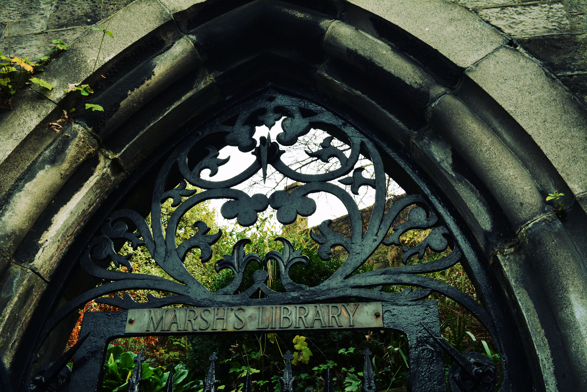 AF Zoom-Nikkor 28-80mm f/3.5-5.6D sample photo. Old library photography