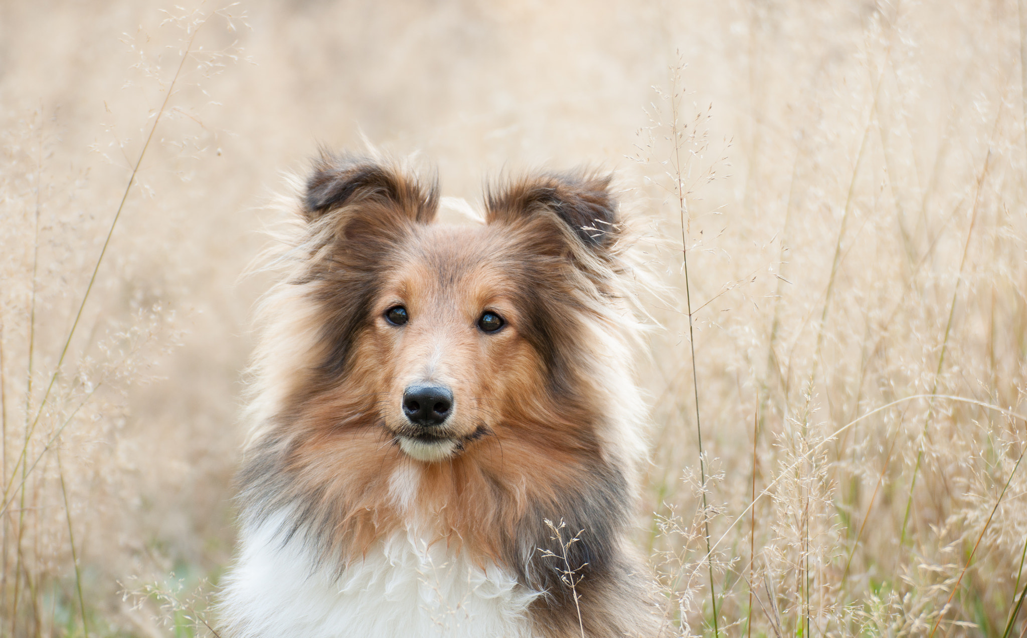 Nikon D5000 sample photo. Portrait photography