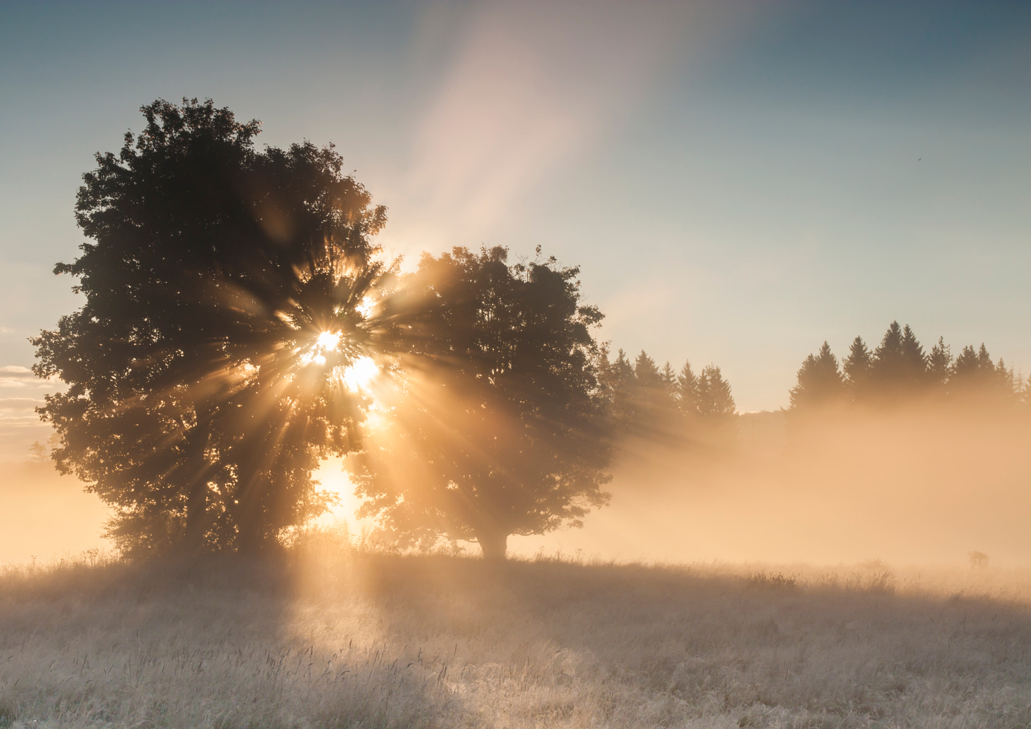 Sigma 17-70mm F2.8-4 DC Macro OS HSM sample photo. Misty morning photography