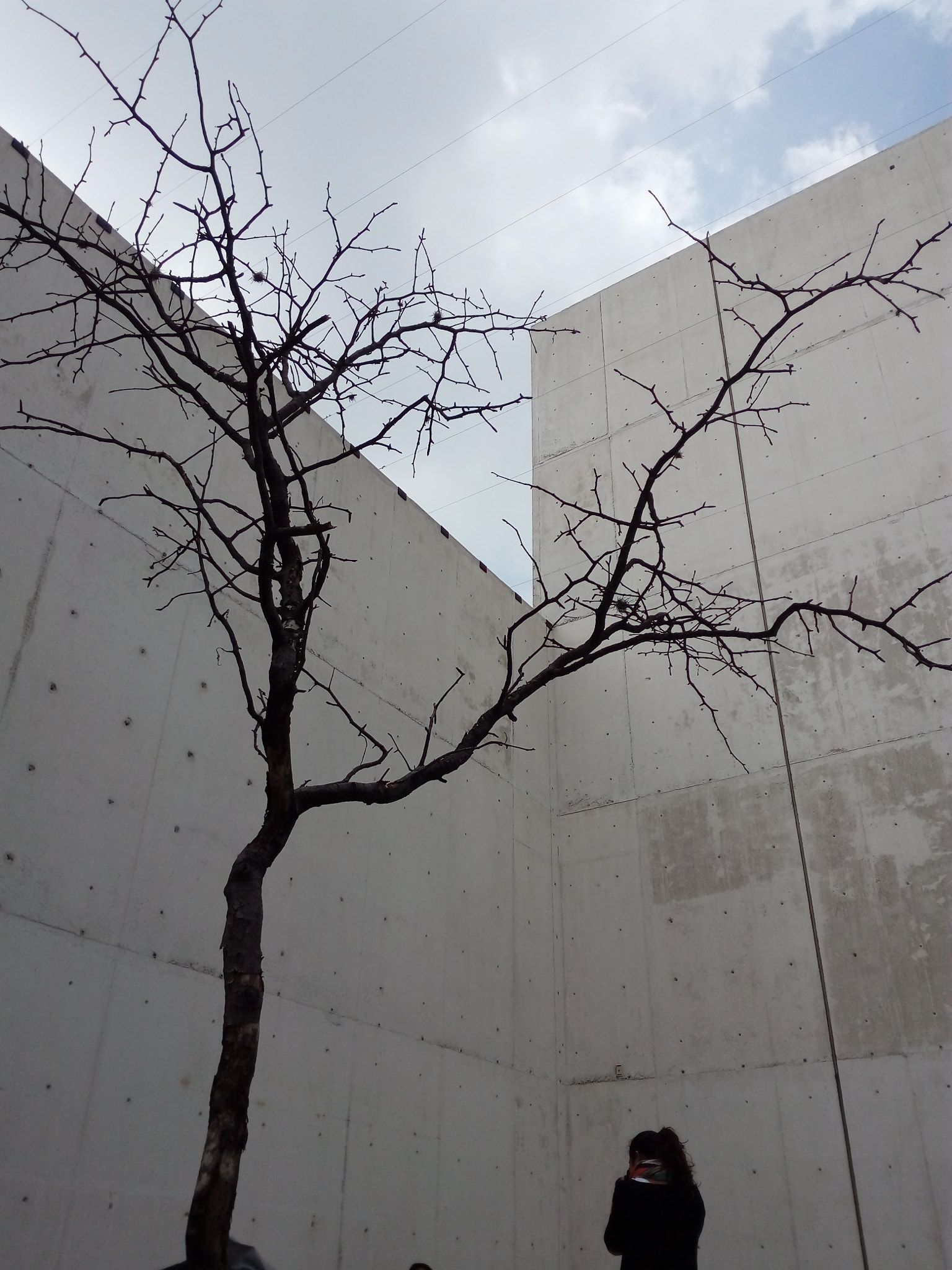 HUAWEI GR3 sample photo