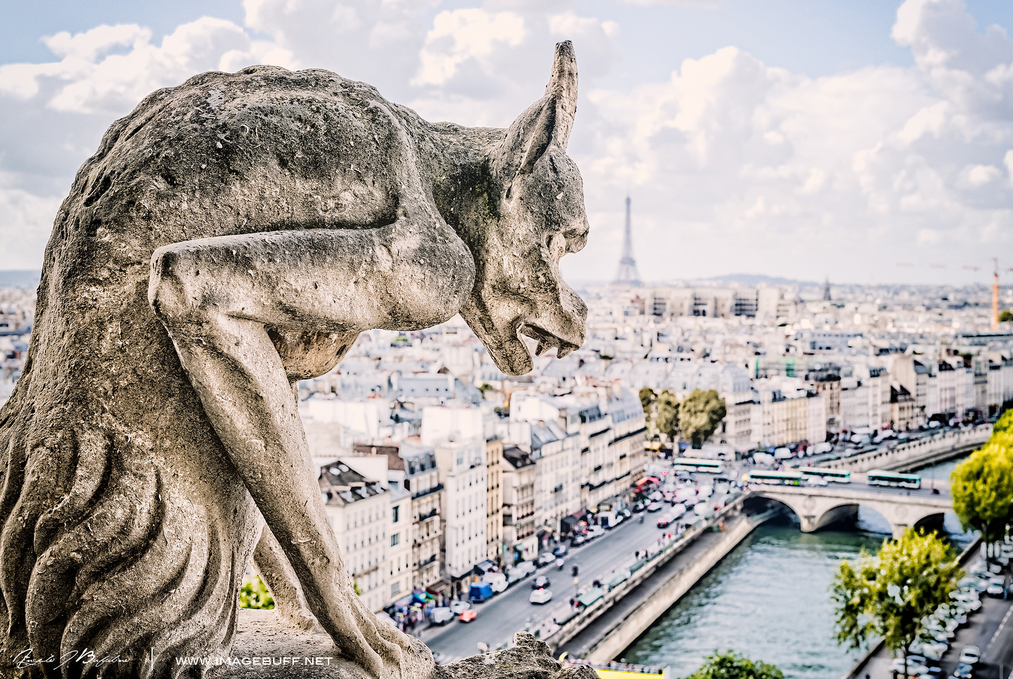 Nikon D5 + Sigma 50mm F1.4 DG HSM Art sample photo. Gargoyles of notre dame photography