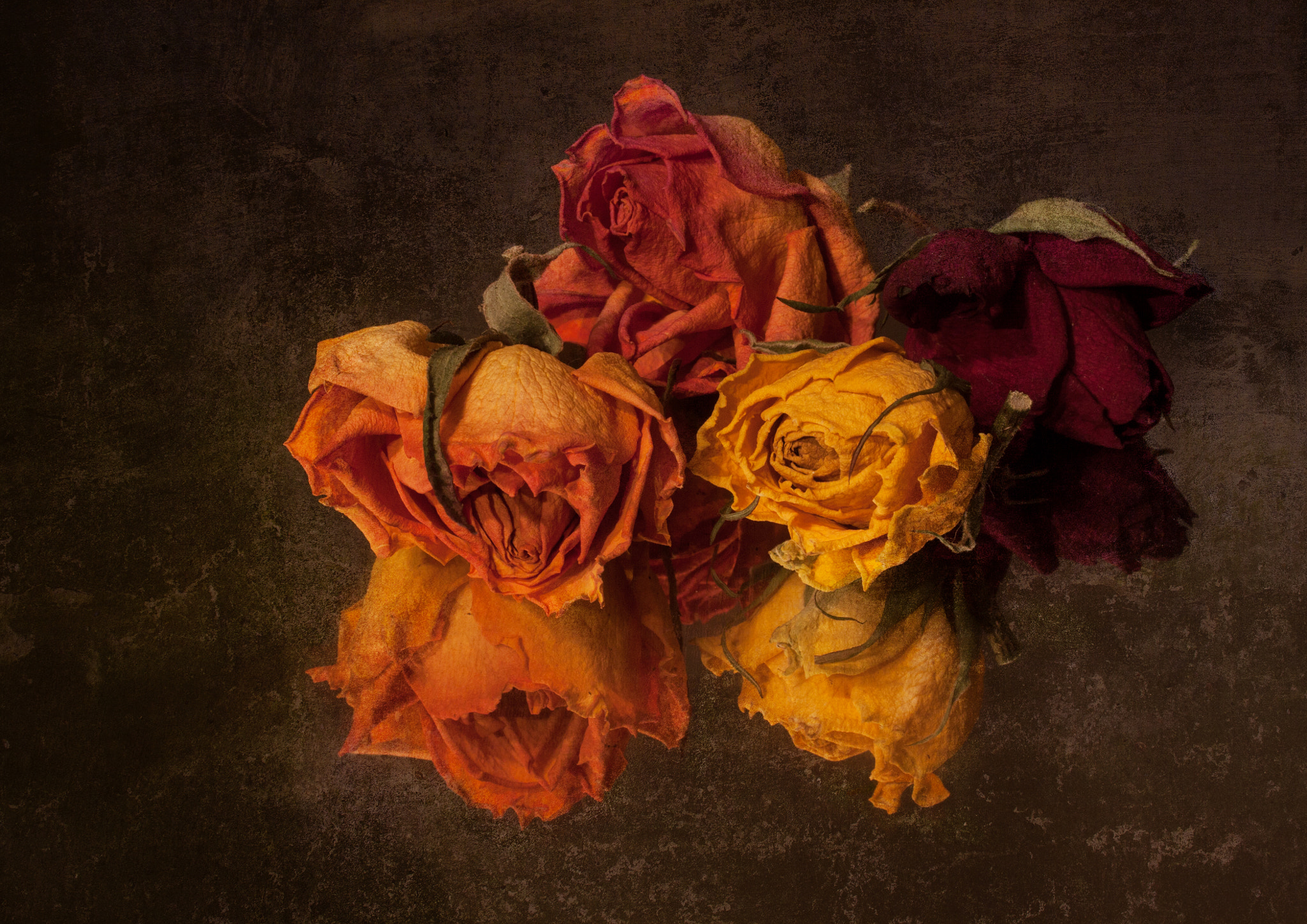 Canon EF-S 60mm F2.8 Macro USM sample photo. Rosen photography