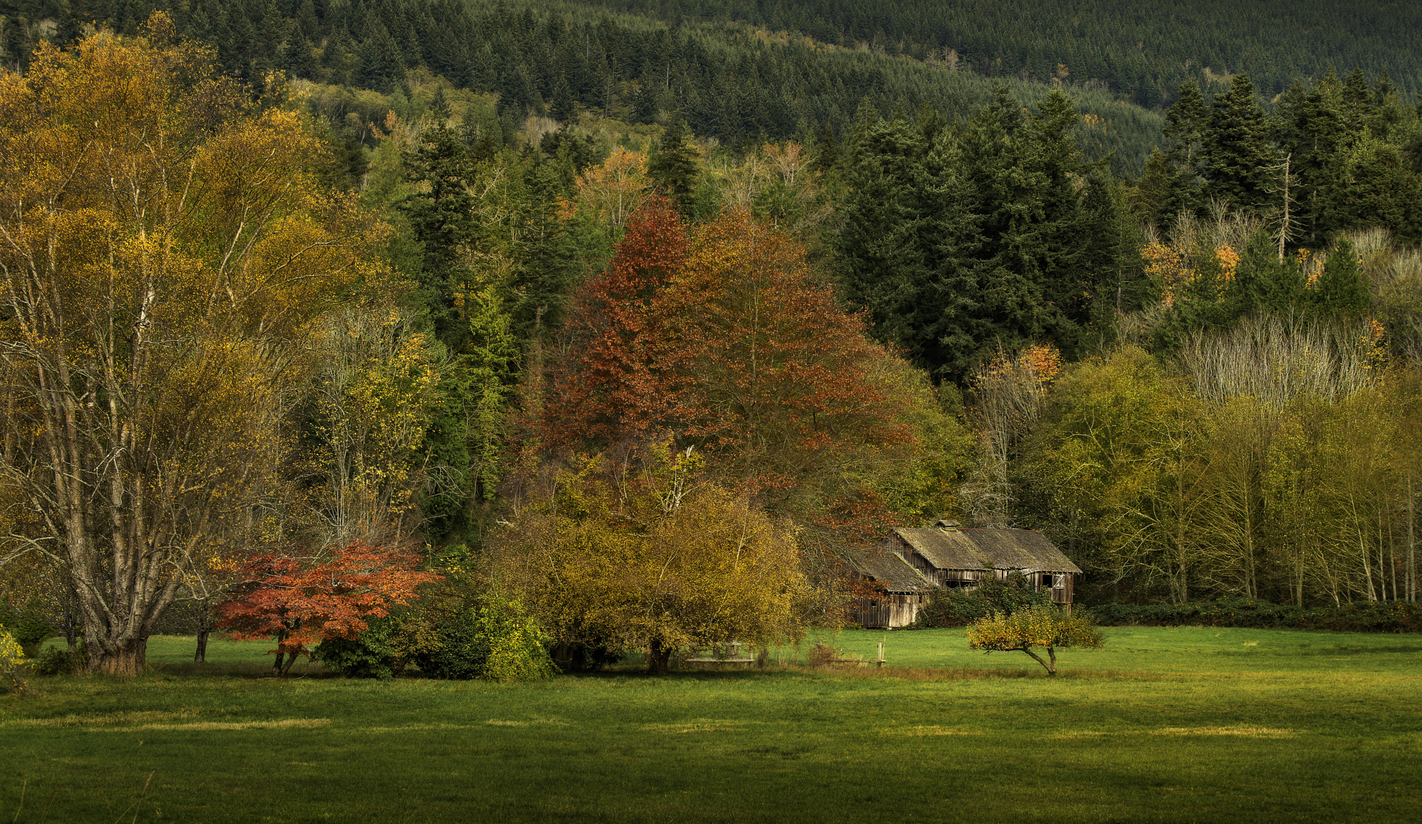 Nikon D800E sample photo. Farm in the woods photography