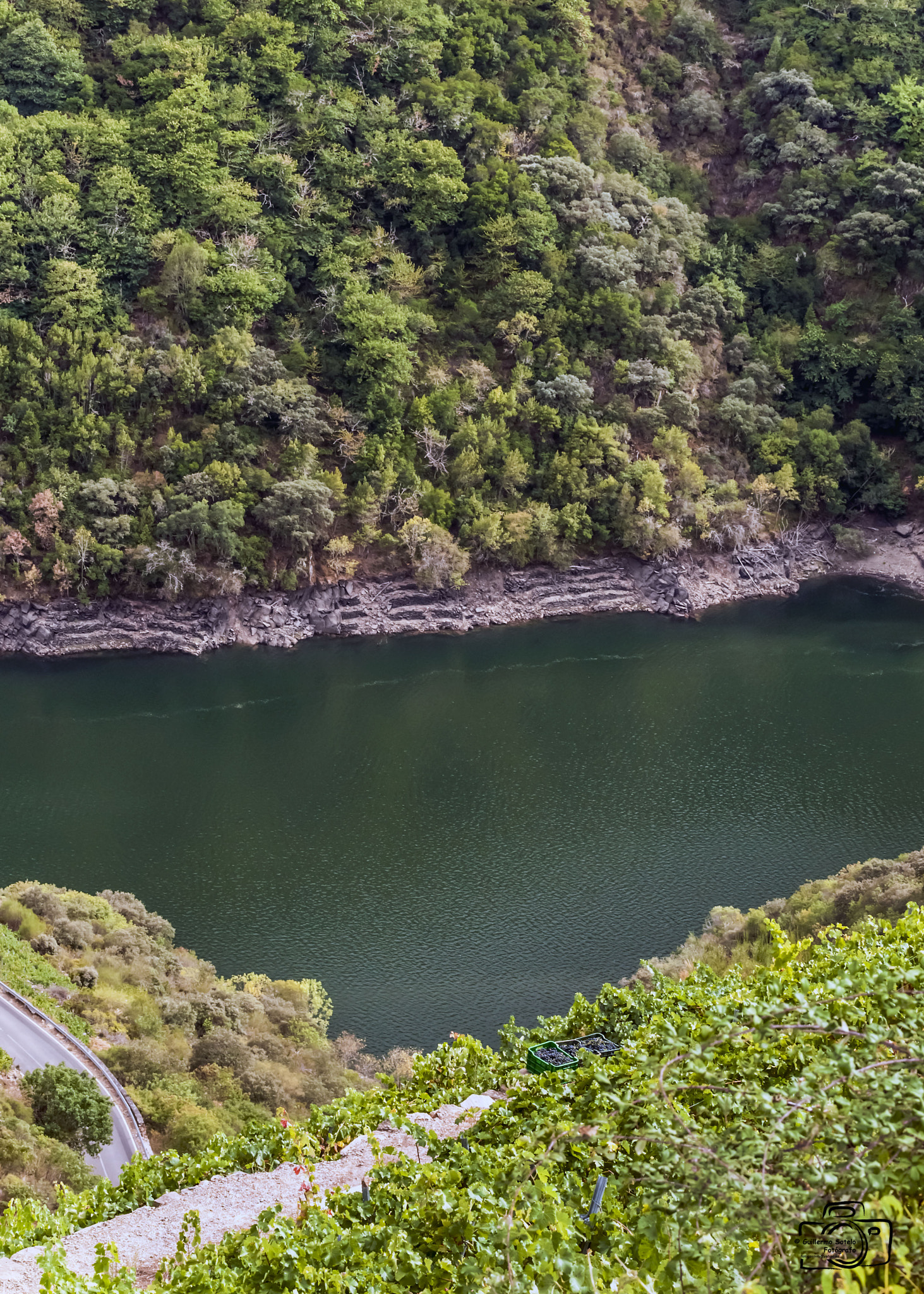 Nikon D300 + Sigma 70-200mm F2.8 EX DG OS HSM sample photo. Época de vendimias en la ribeira sacra. photography