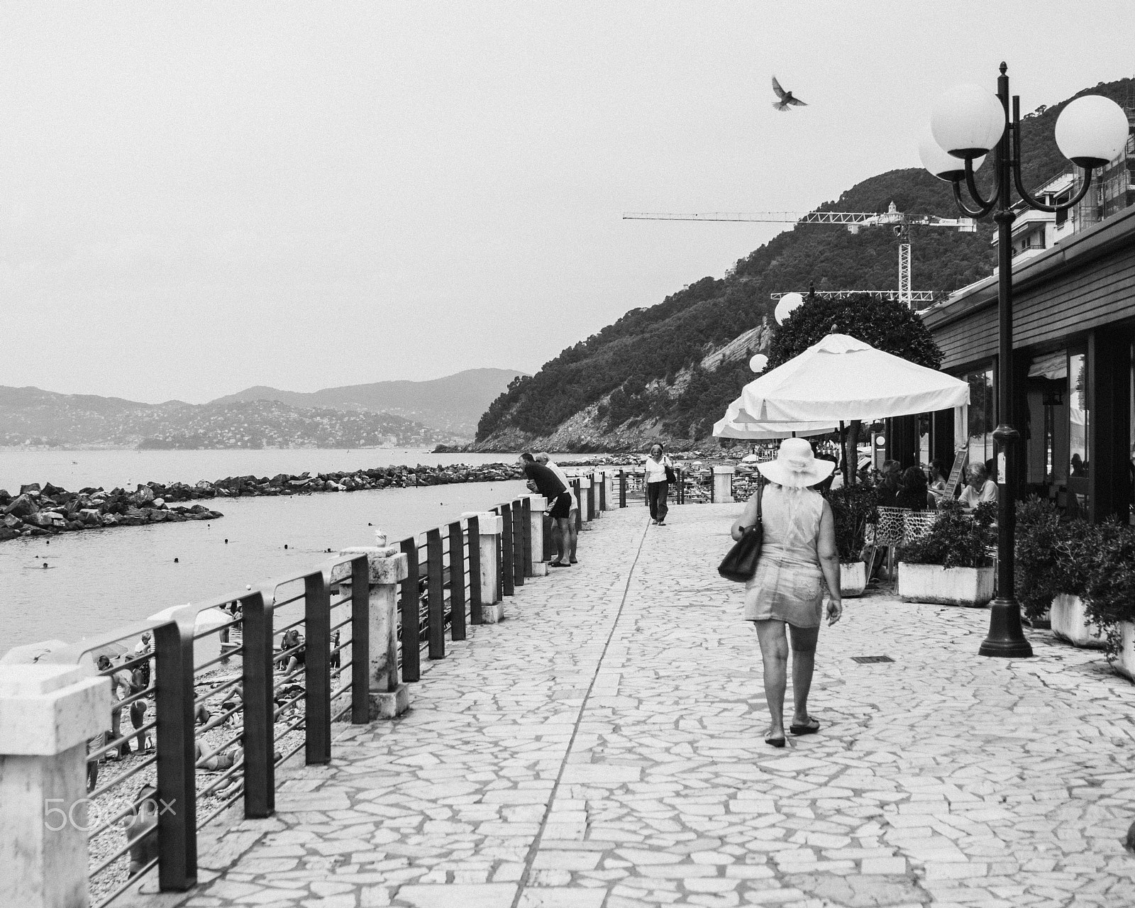 Canon EOS 50D sample photo. No title photography