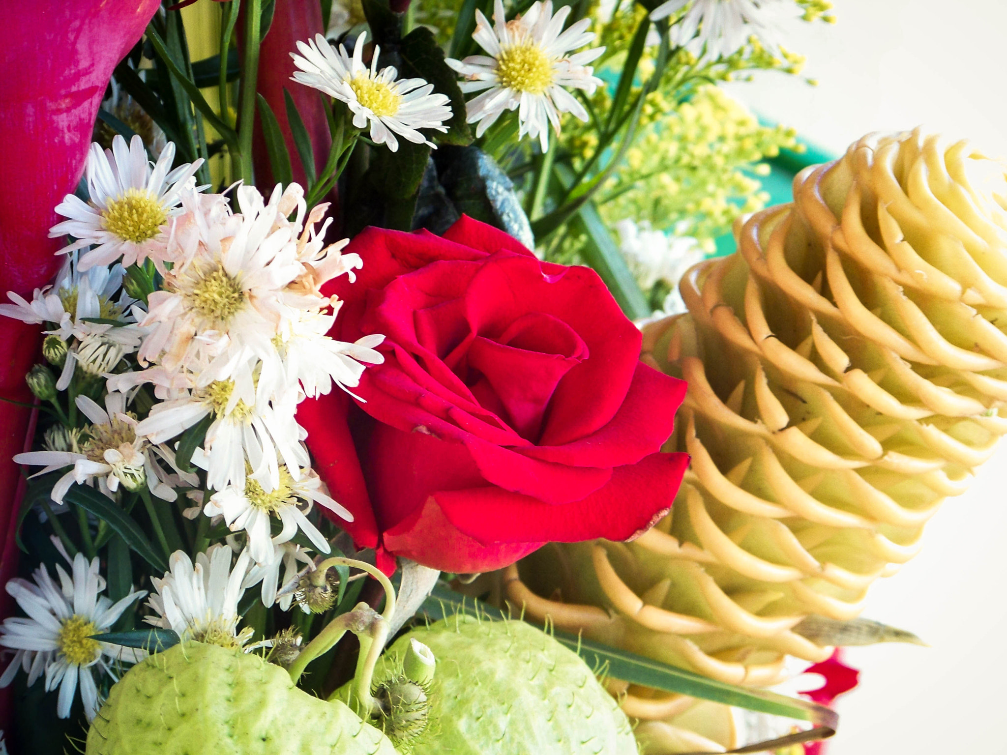 Kodak EASYSHARE Z8612 IS DIGITAL CAMERA sample photo. Entre flores y arreglos photography