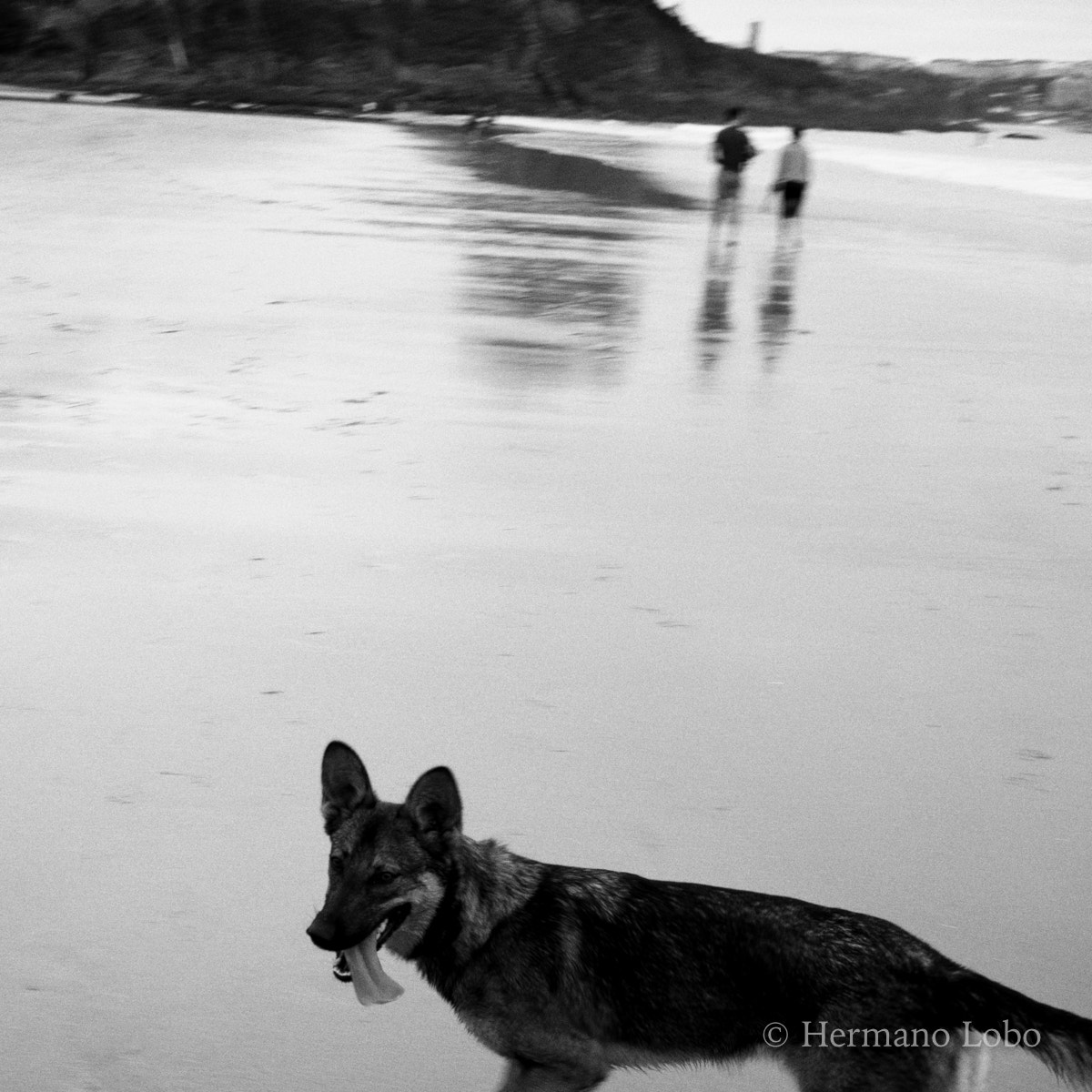 Fujifilm X-A1 + Fujifilm XF 27mm F2.8 sample photo. Bastiagueiro photography