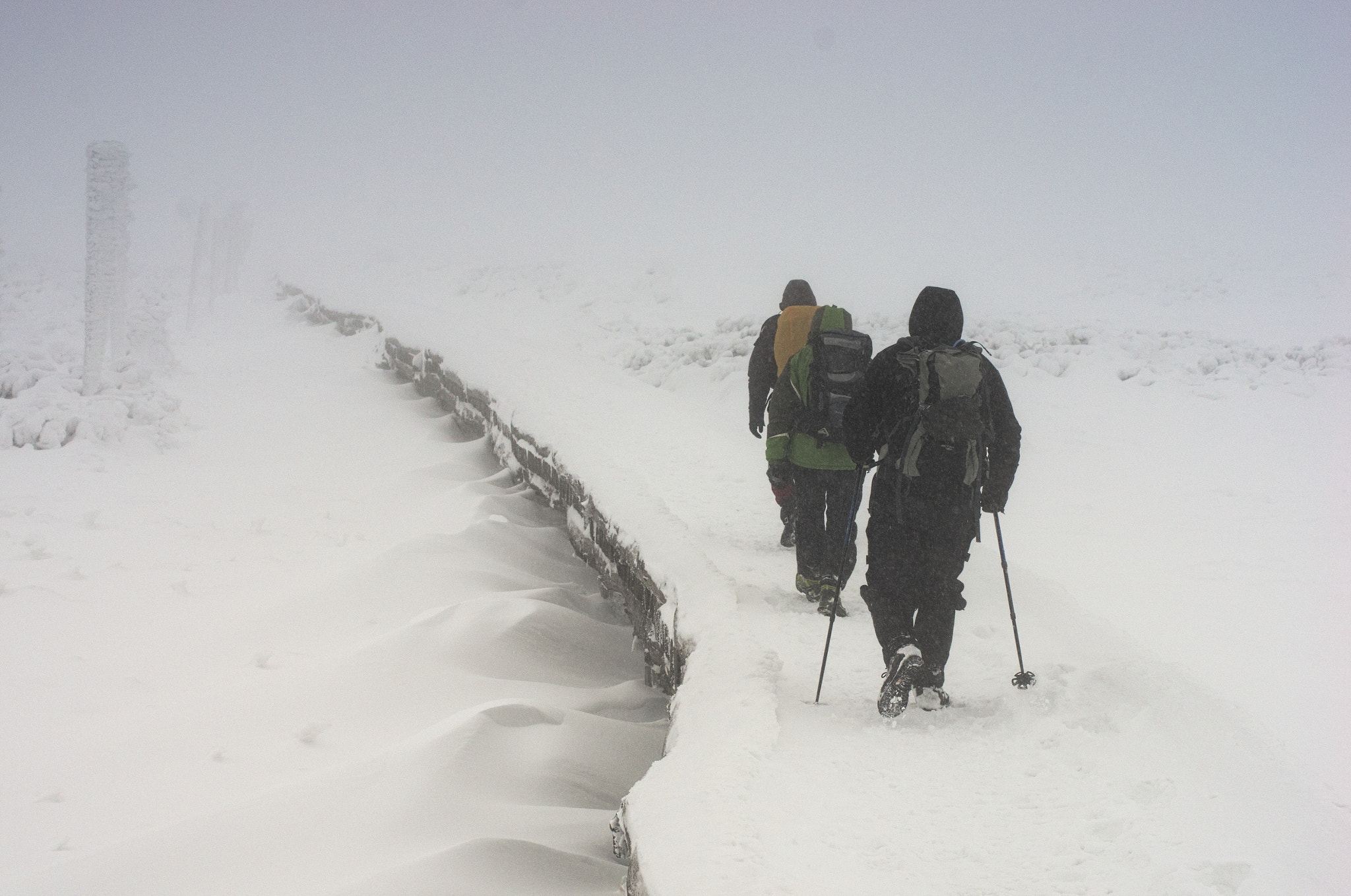 Pentax K-5 sample photo. Going through the snow in karkonosze photography