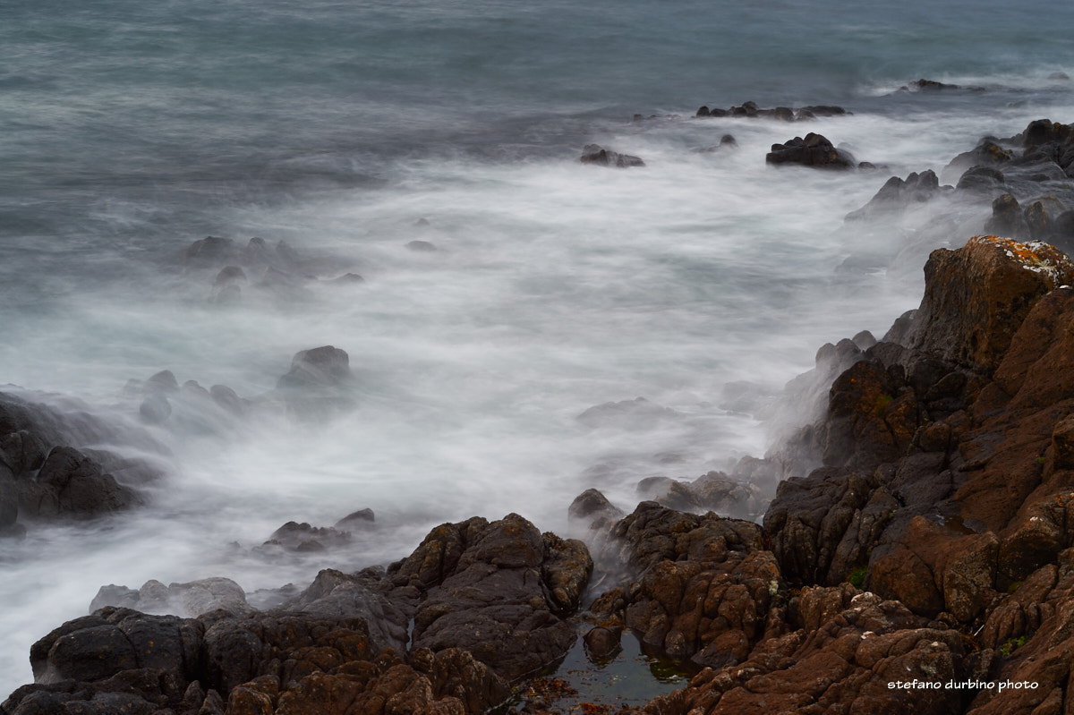Nikon D4S sample photo. 2015.27791.jpg photography