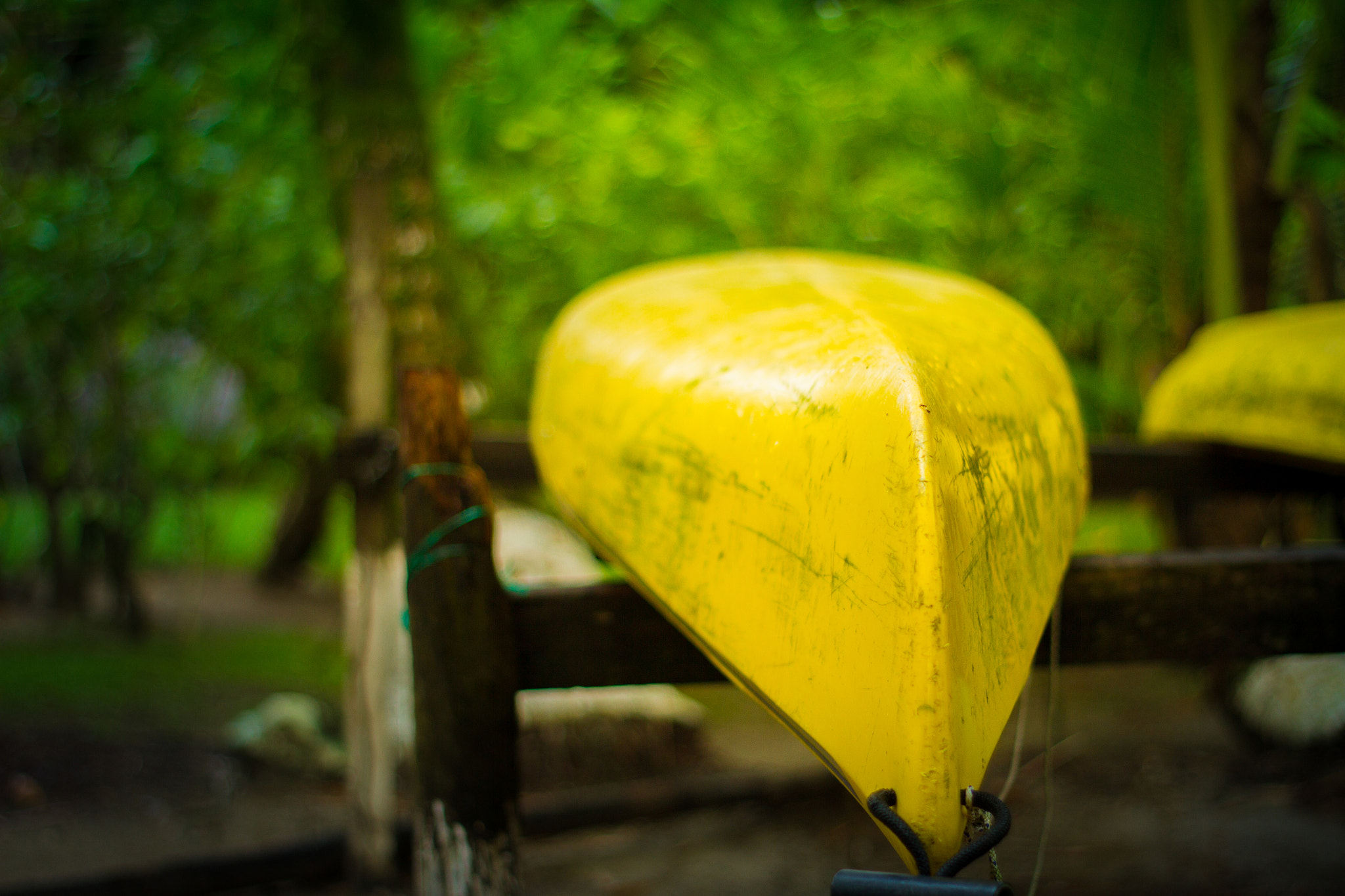Canon EOS 7D + Canon EF 50mm f/1.8 sample photo. Img photography