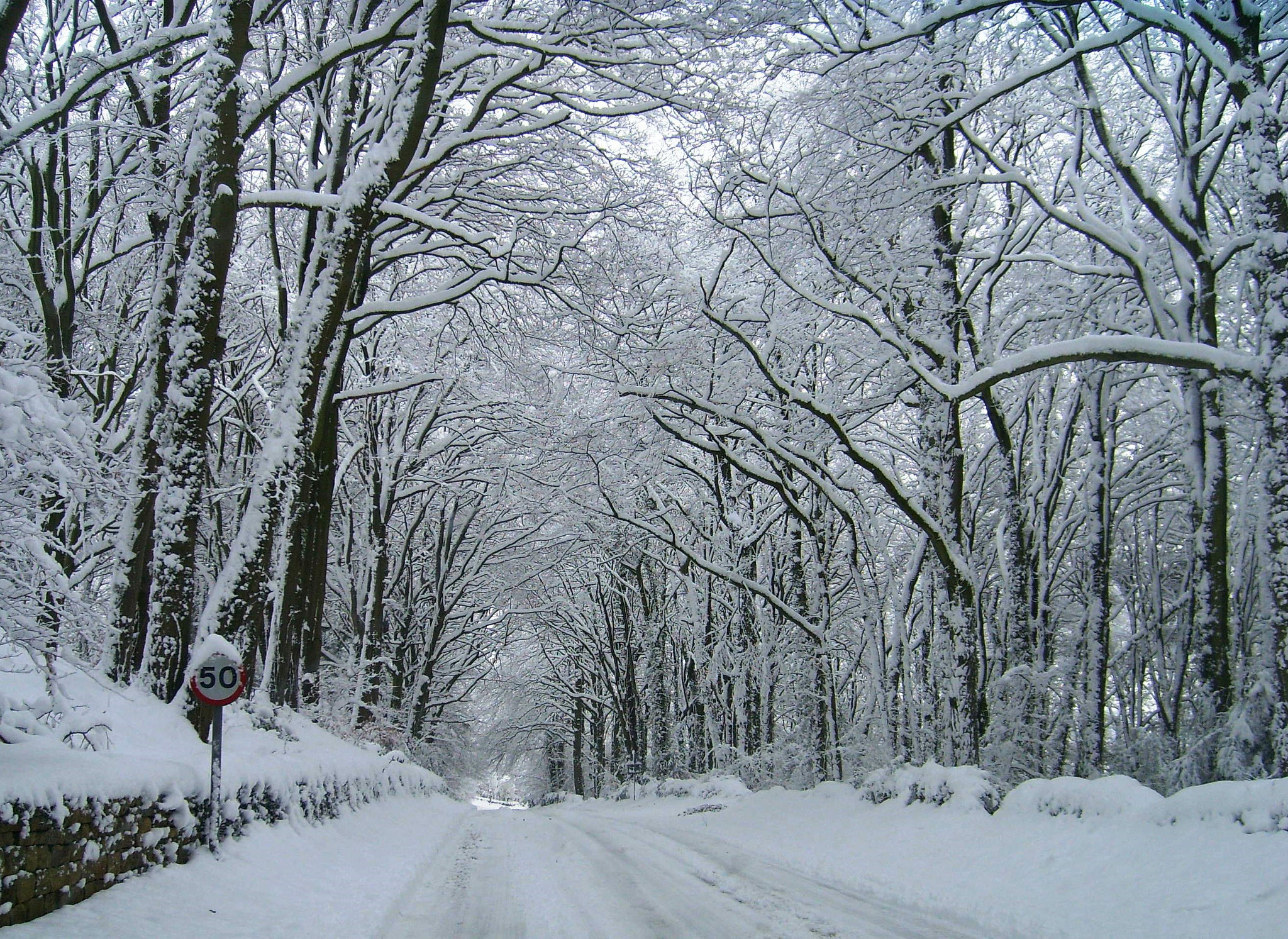 Samsung Digimax L60 sample photo. Snowy road photography