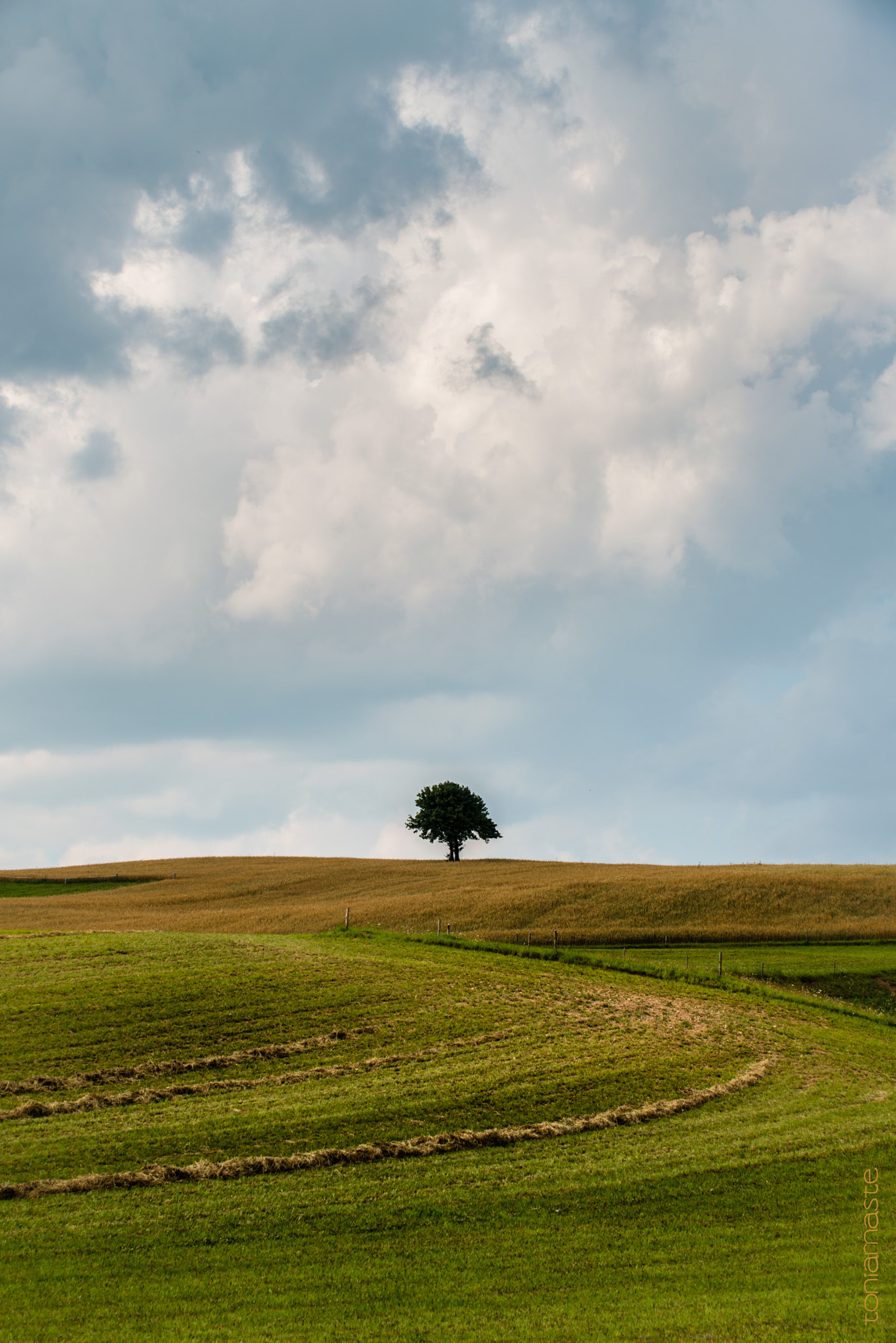 Nikon D800 + Sigma 50-500mm F4.5-6.3 DG OS HSM sample photo. The lonely. the brave. photography