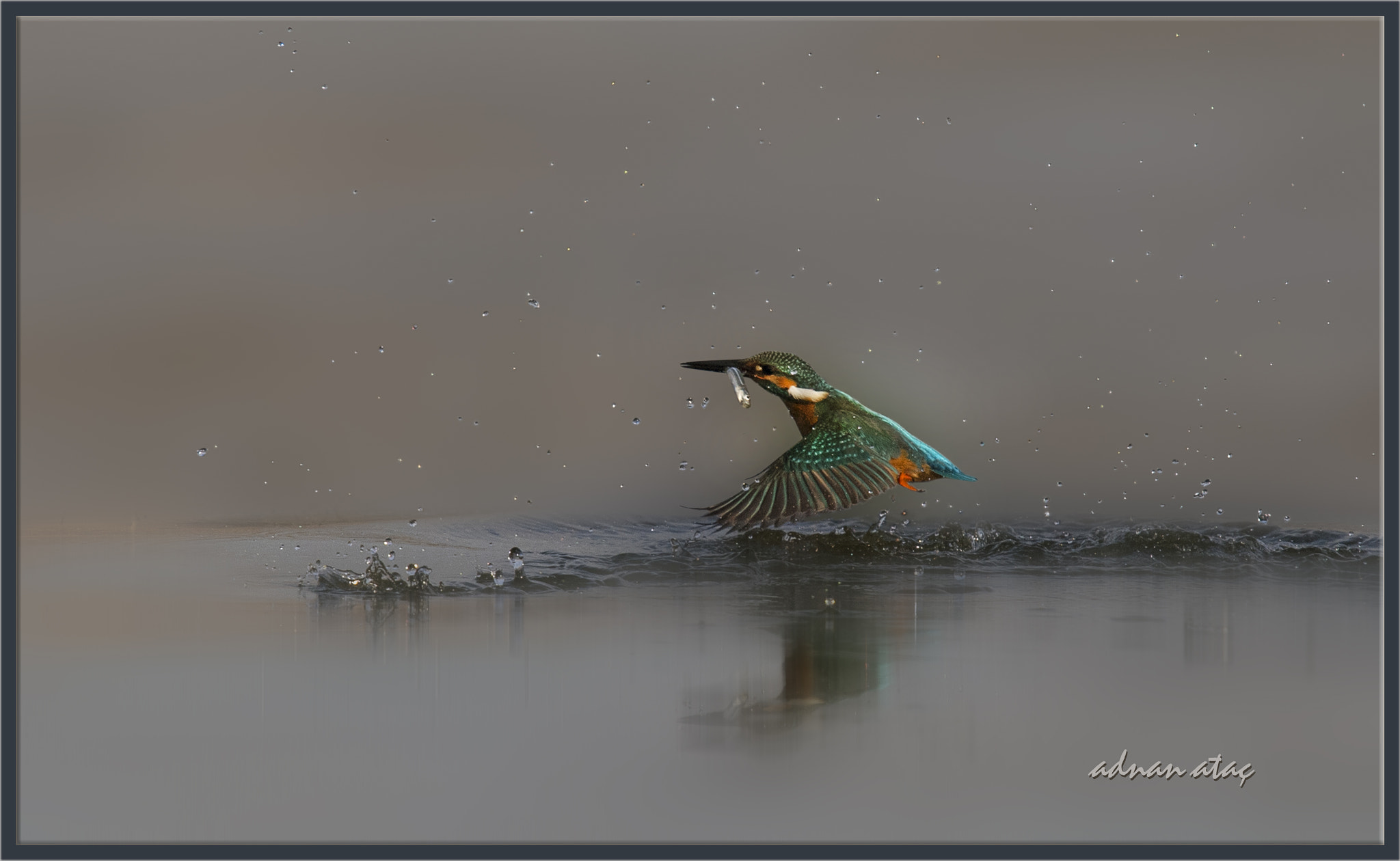 Nikon Nikkor AF-S 300mm F4E PF ED VR sample photo. Yalıçapkını - alcedo atthis - common kingfisher photography