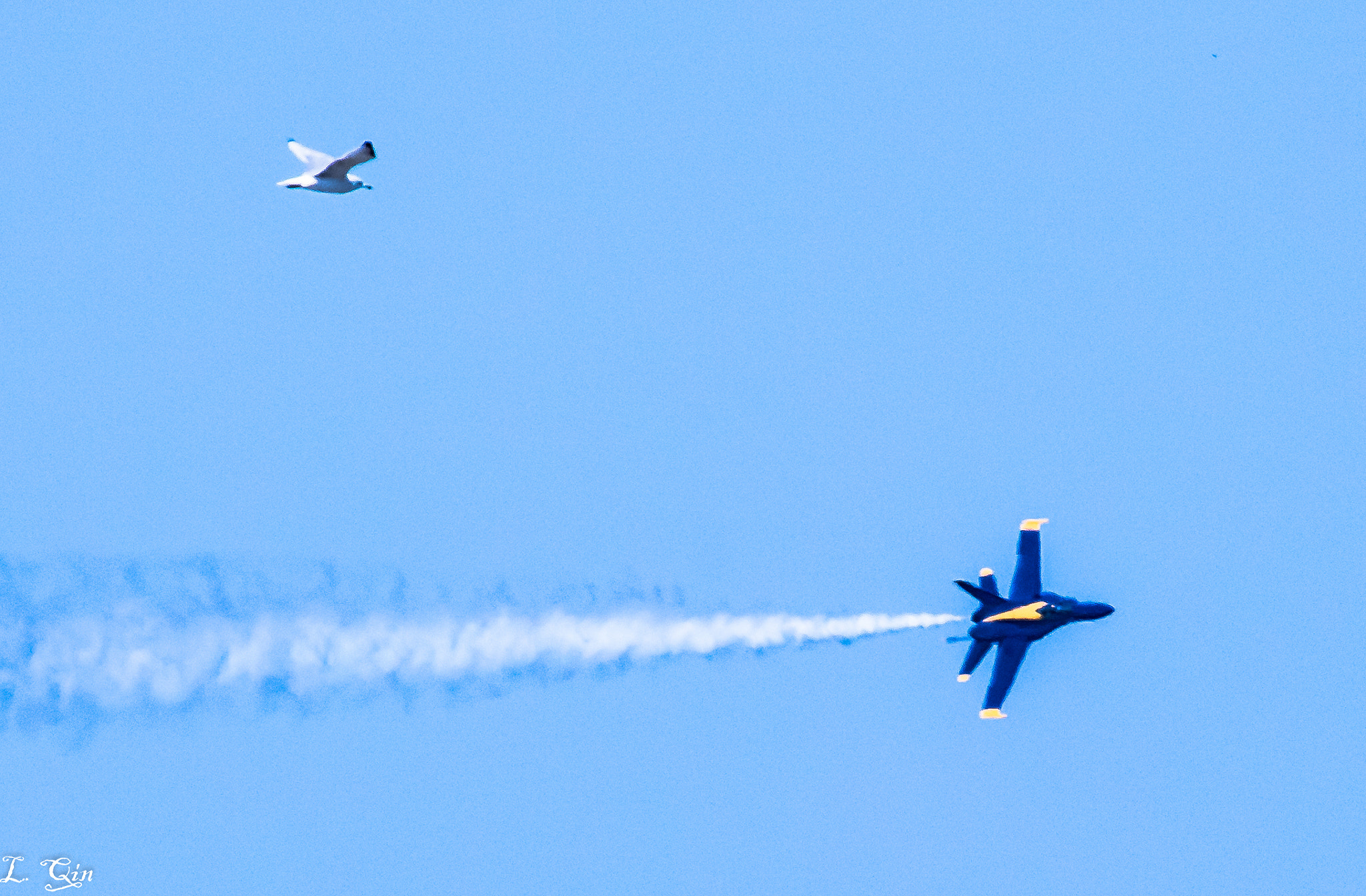 Canon EF 100-400mm F4.5-5.6L IS USM sample photo. Chase 1 photography