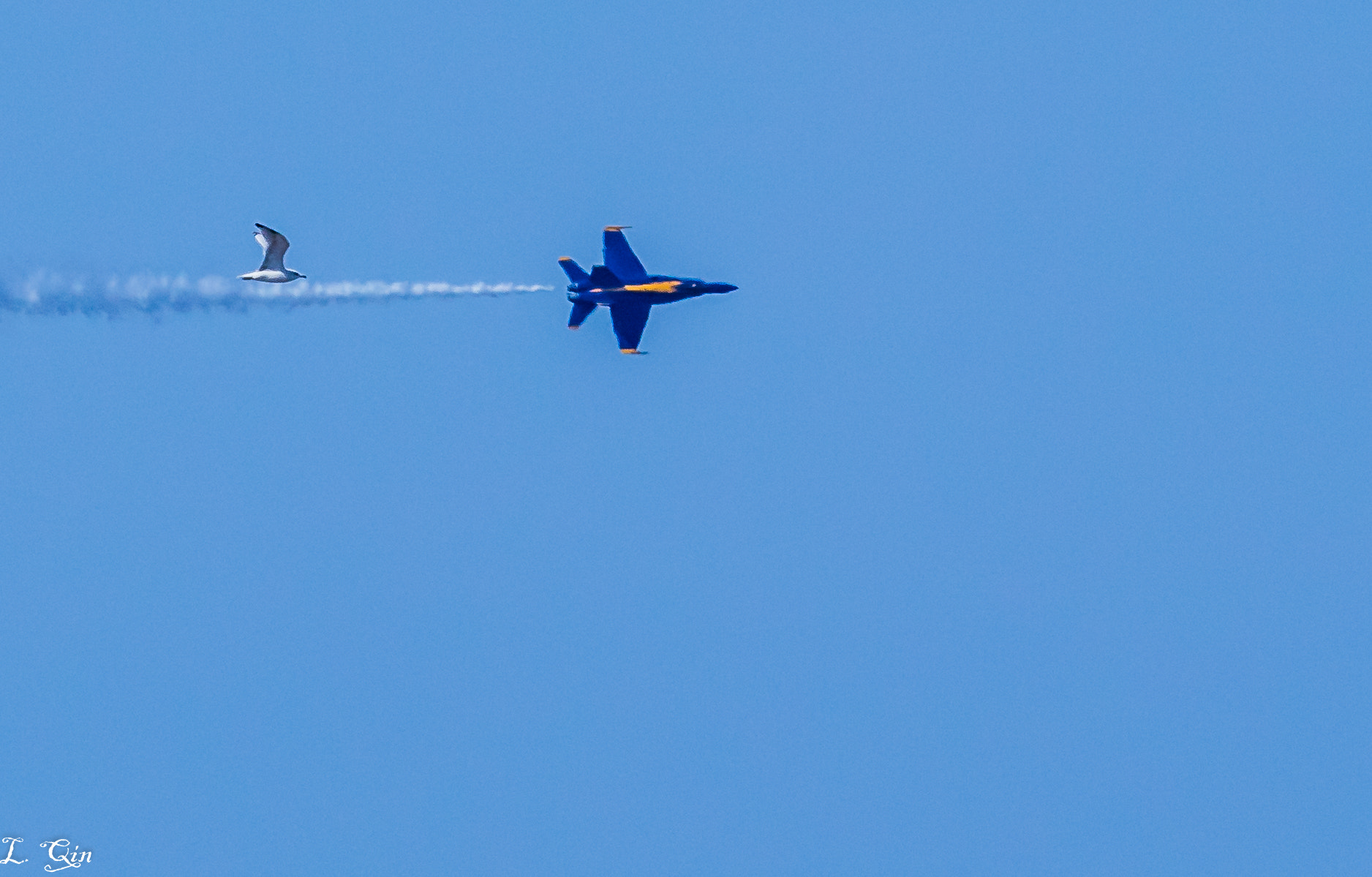 Canon EF 100-400mm F4.5-5.6L IS USM sample photo. Chase 2 photography
