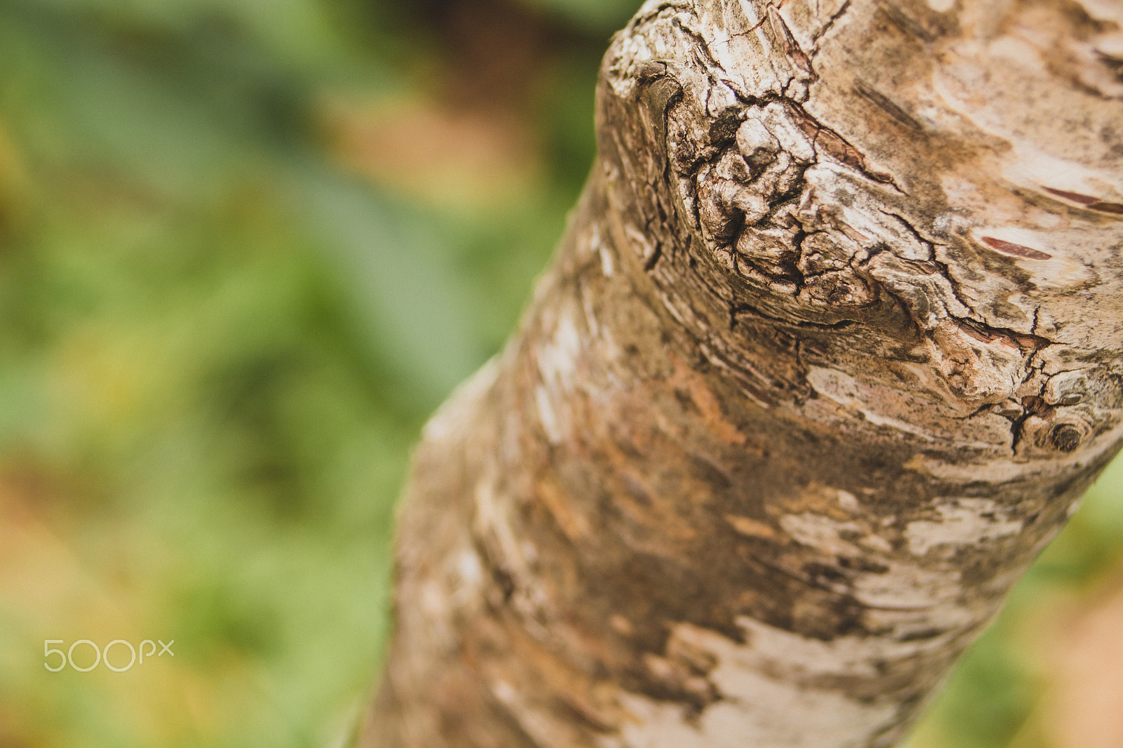 Canon EF 28-80mm f/3.5-5.6 USM IV sample photo. Brezica photography