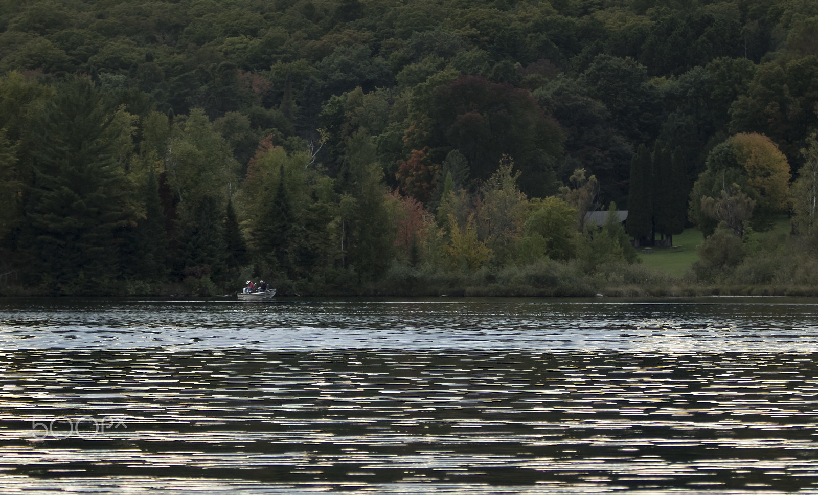 Canon EOS 7D Mark II sample photo. Early fall at the lake photography