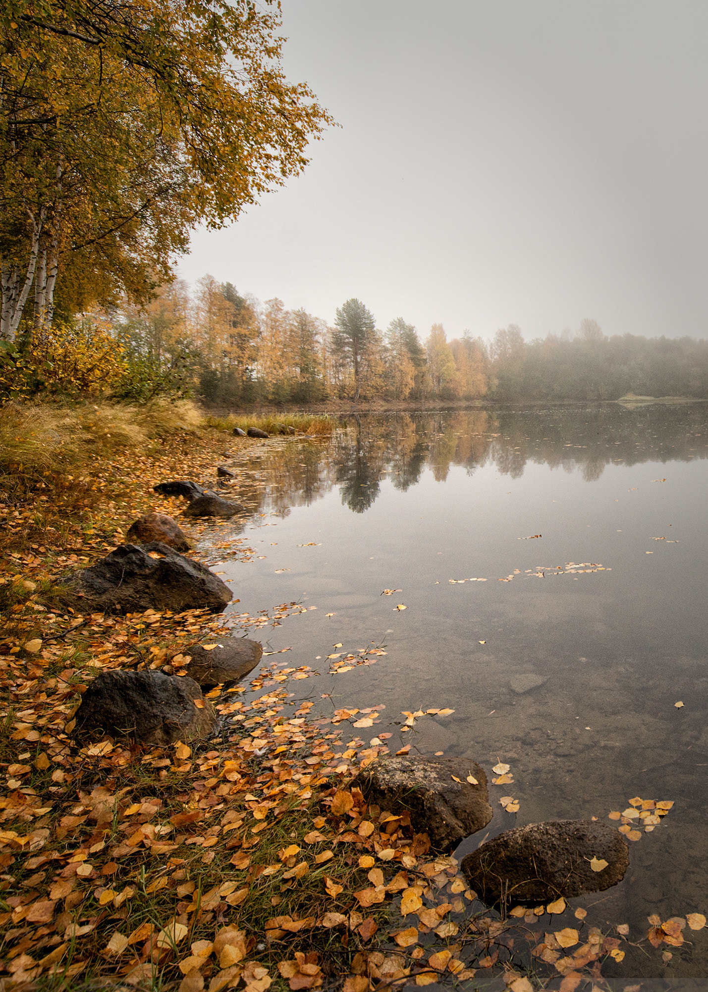 Minolta AF 28-80mm F3.5-5.6 II sample photo. Misty morning photography