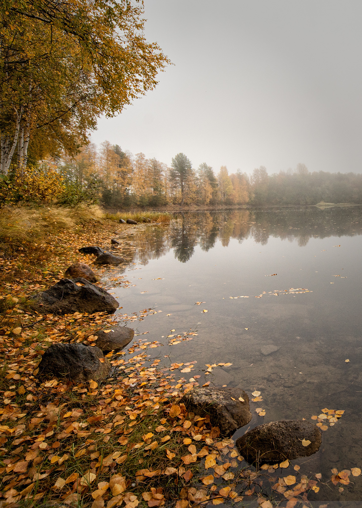 Sony a99 II + Minolta AF 28-80mm F3.5-5.6 II sample photo. Misty morning photography