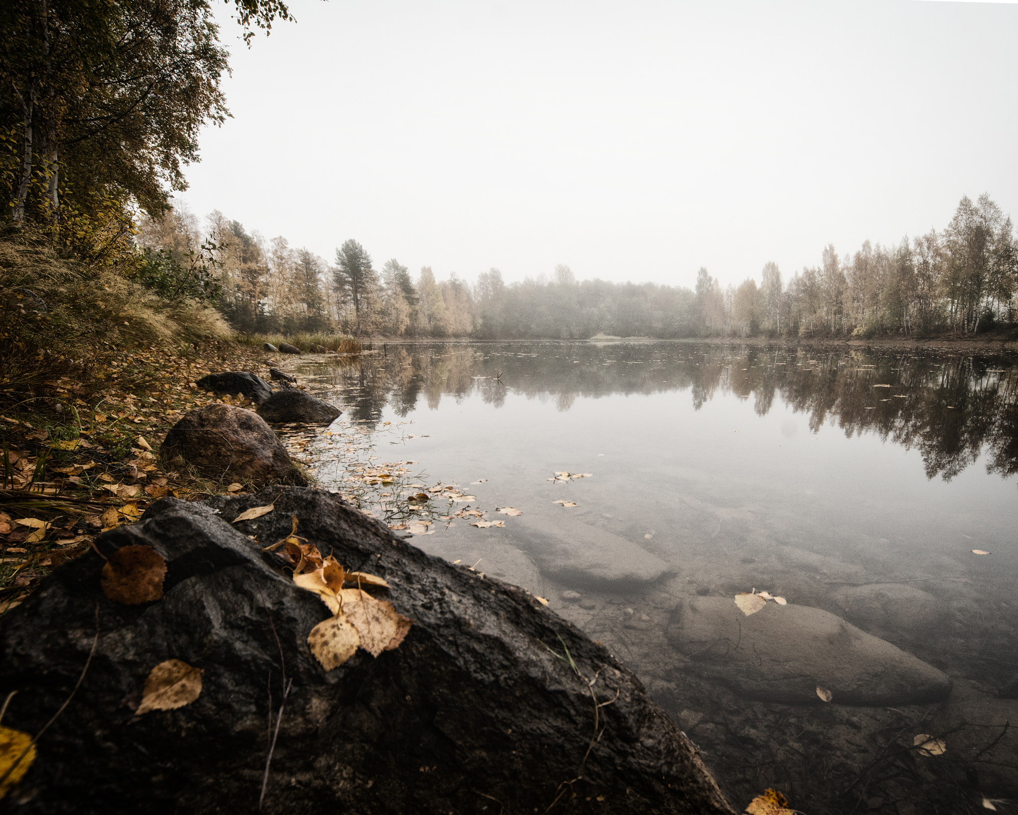 Minolta AF 28-80mm F3.5-5.6 II sample photo. Misty morning no.2 photography