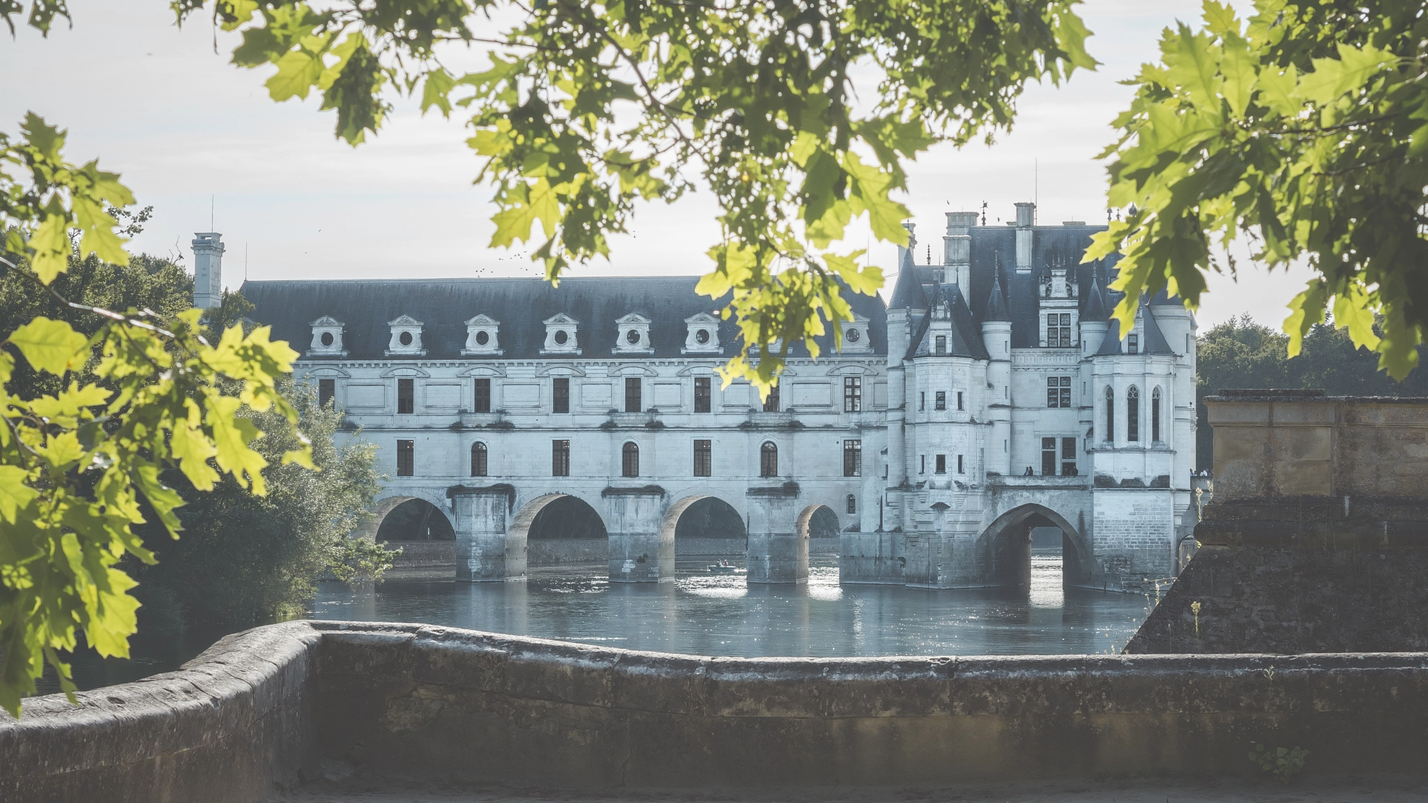 Sony SLT-A77 sample photo. Le château de chenonceau photography