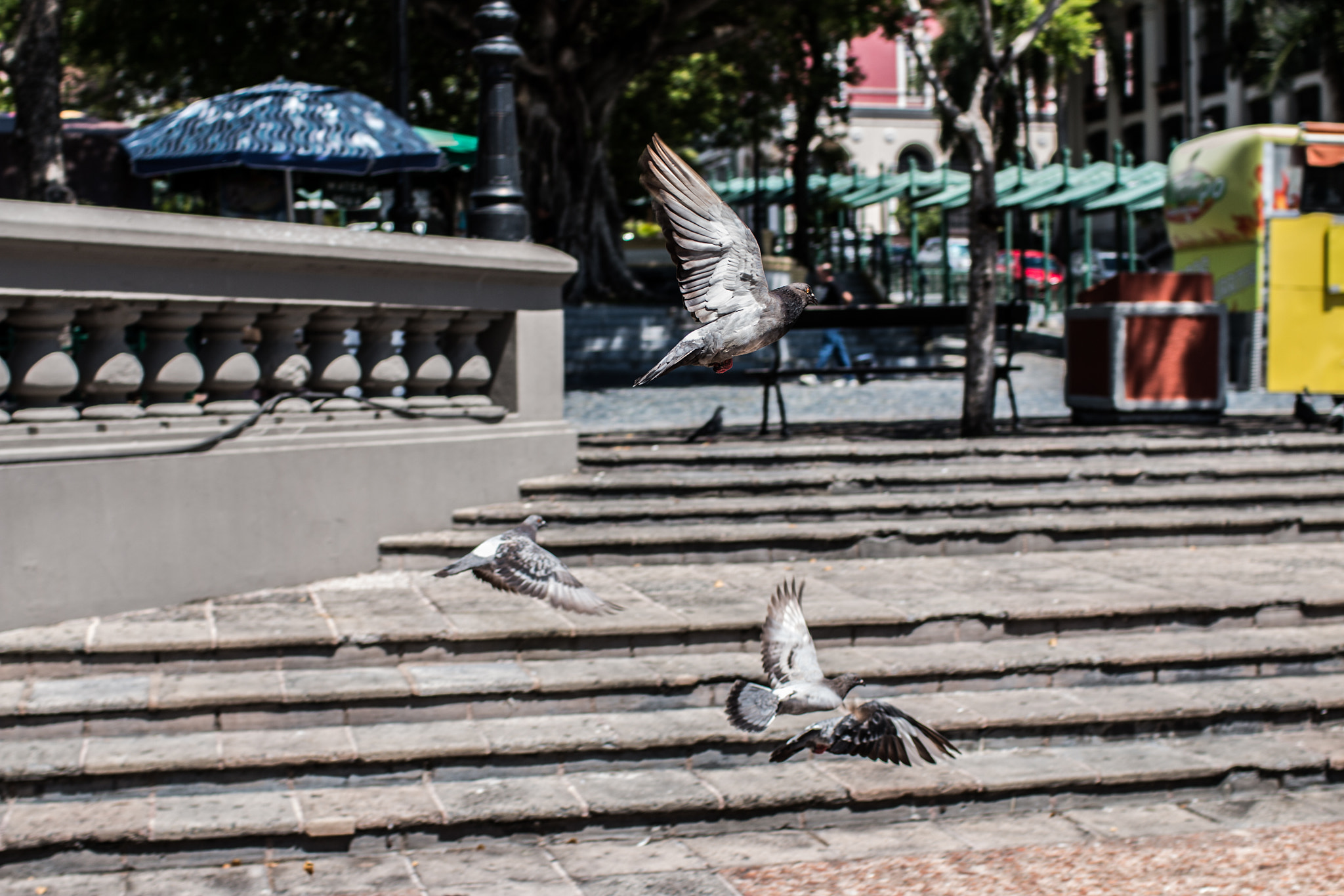 Canon EOS 70D + Canon EF 35mm F1.4L USM sample photo