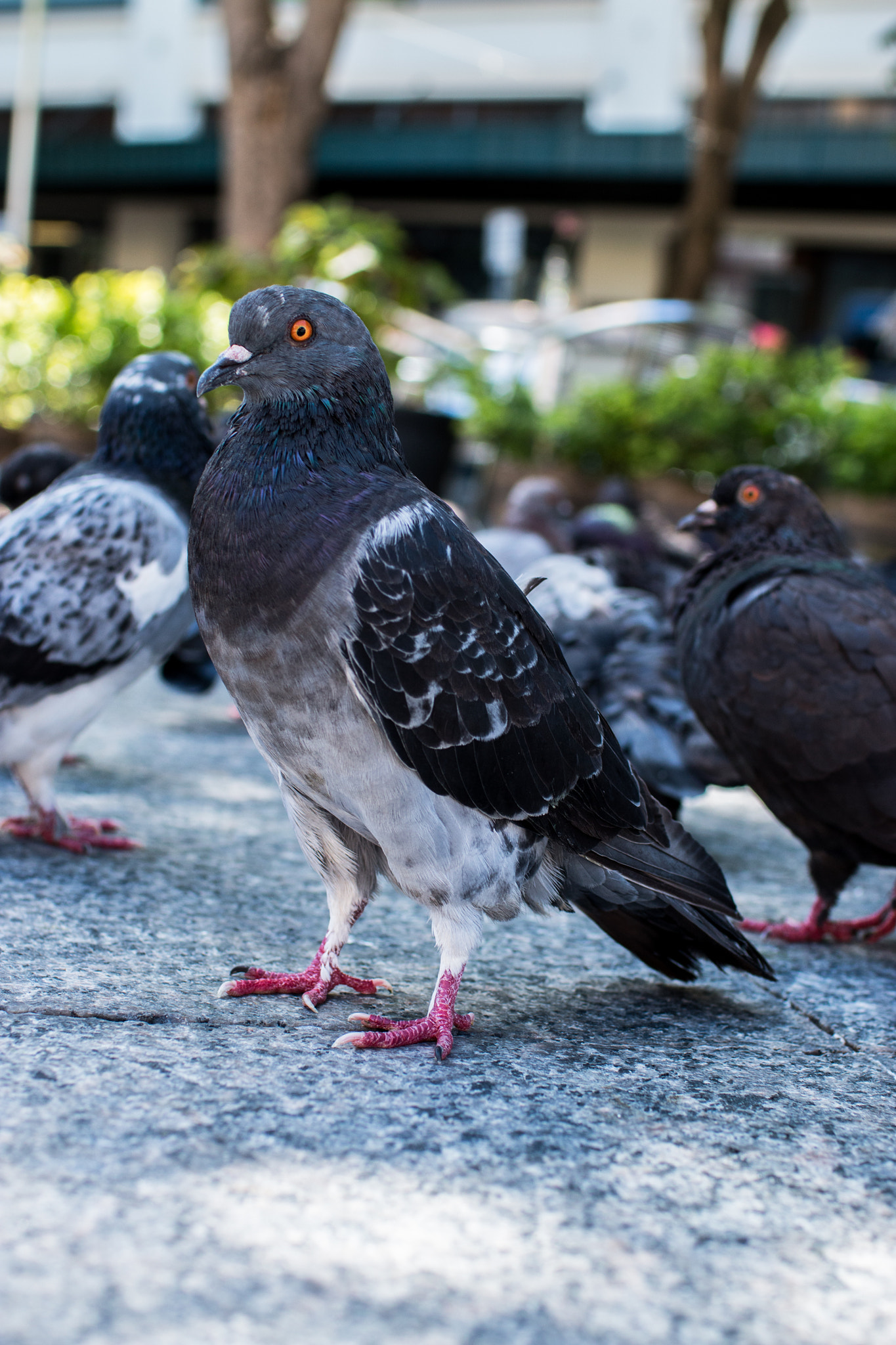 Canon EOS 70D + Canon EF 35mm F1.4L USM sample photo