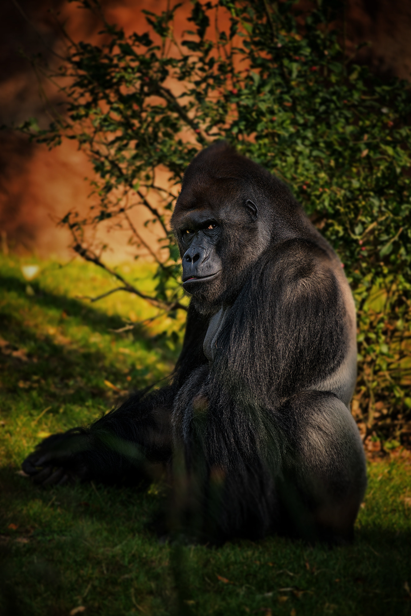 Nikon D610 + Nikon AF-S Nikkor 300mm F4D ED-IF sample photo. Autumn view | zoo prague photography