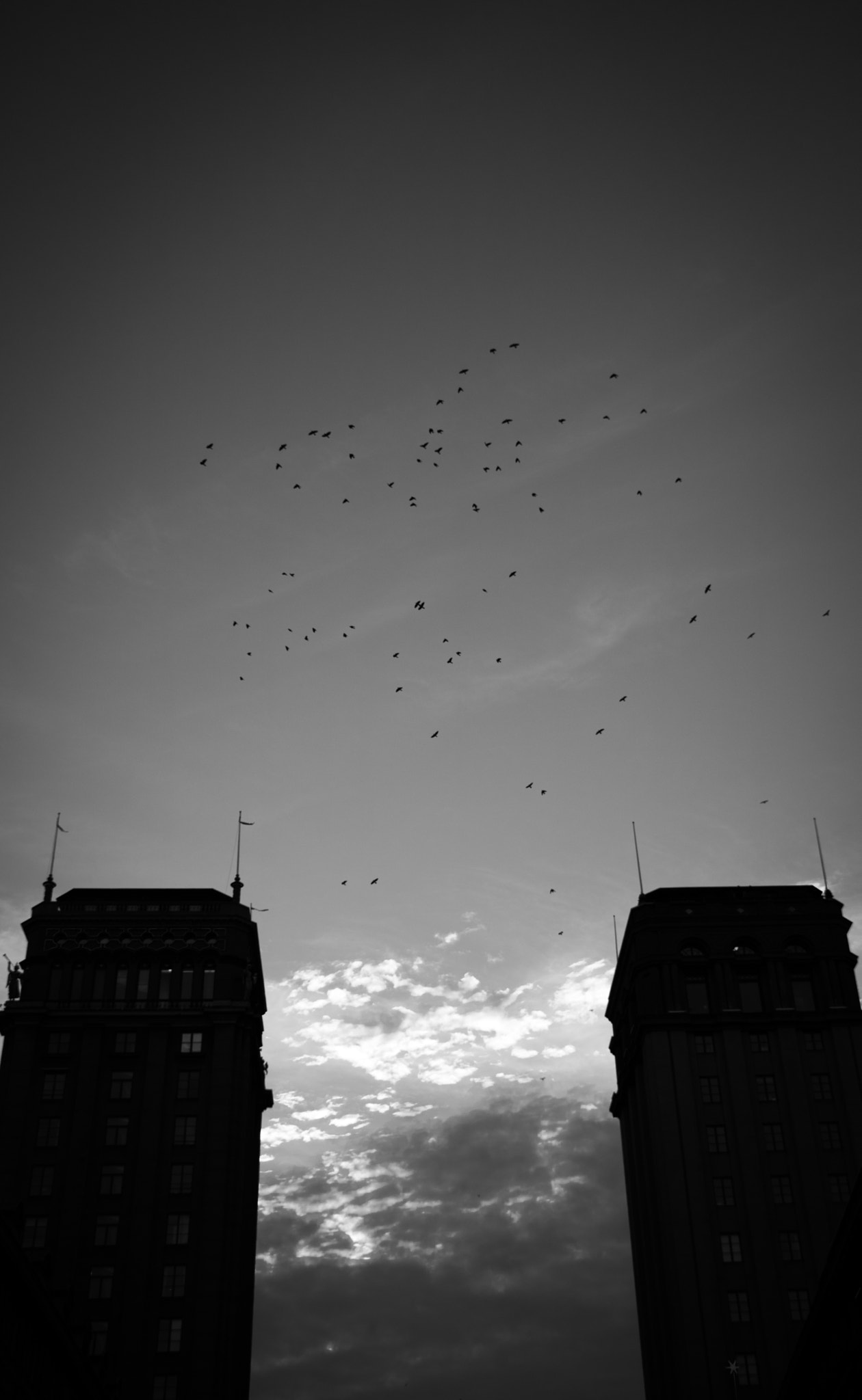 Canon EOS 760D (EOS Rebel T6s / EOS 8000D) sample photo. Rise and fly photography