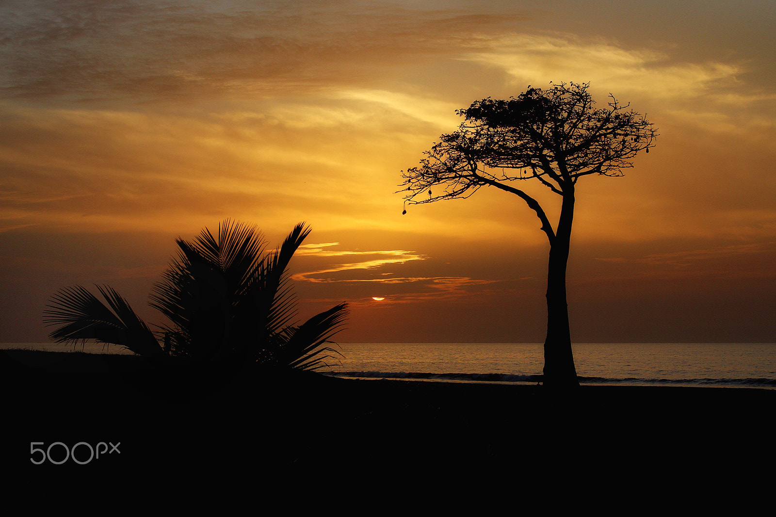 Canon EOS 5D + Canon EF 70-200mm F4L IS USM sample photo. Seascape photography