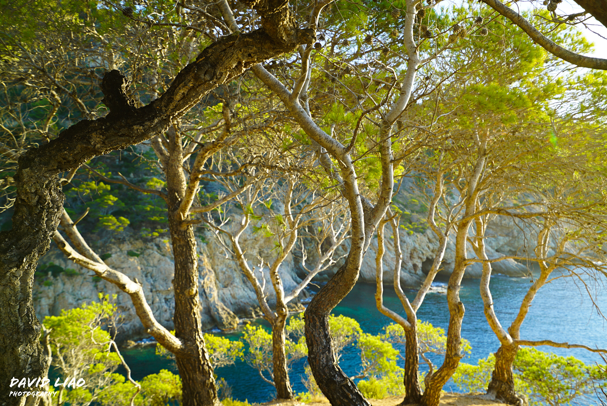 Sony a7S II + Sony Vario-Tessar T* FE 16-35mm F4 ZA OSS sample photo. Camí de ronda photography