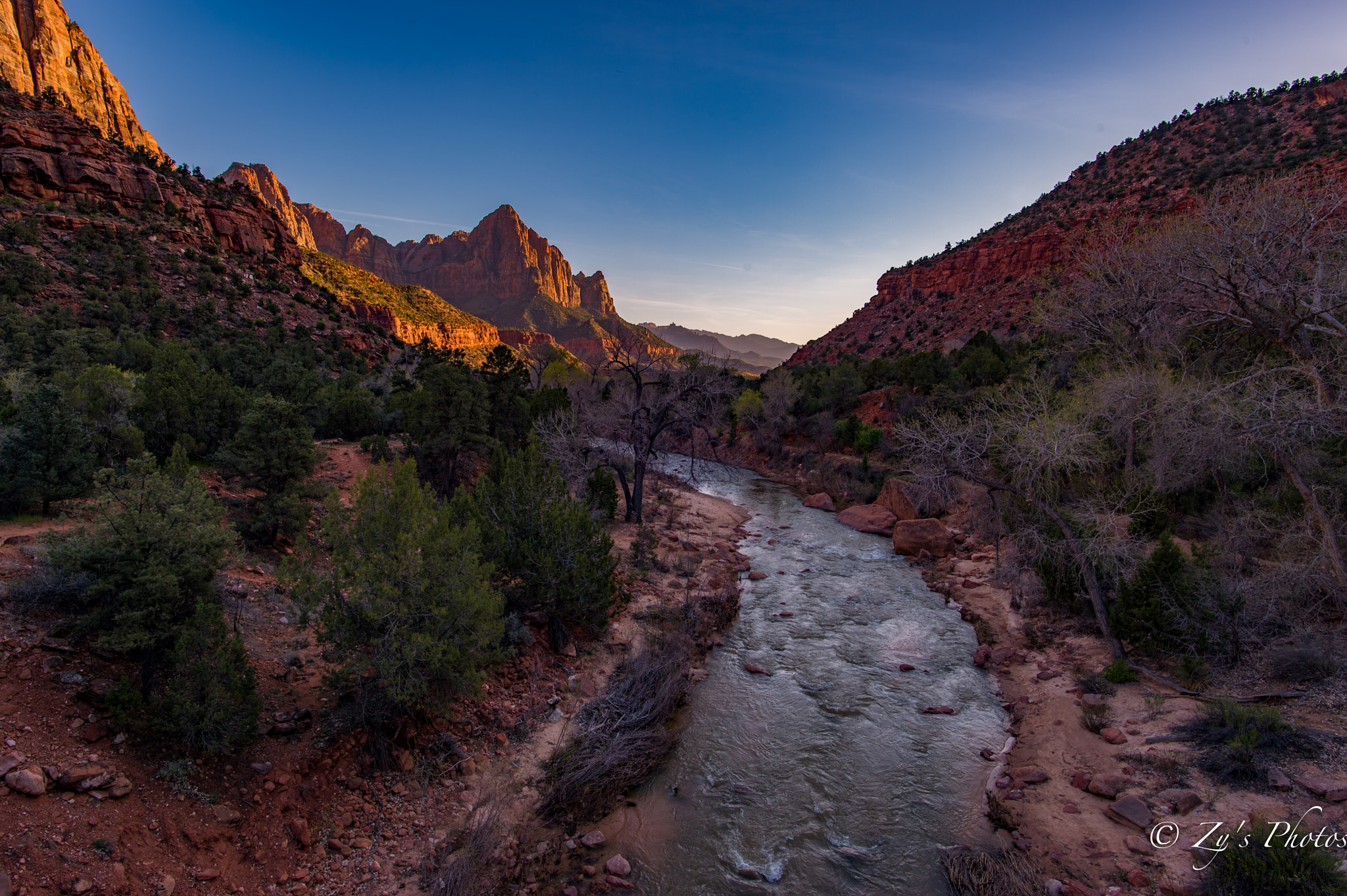 Nikon AF-S Nikkor 20mm F1.8G ED sample photo. Zion national park photography