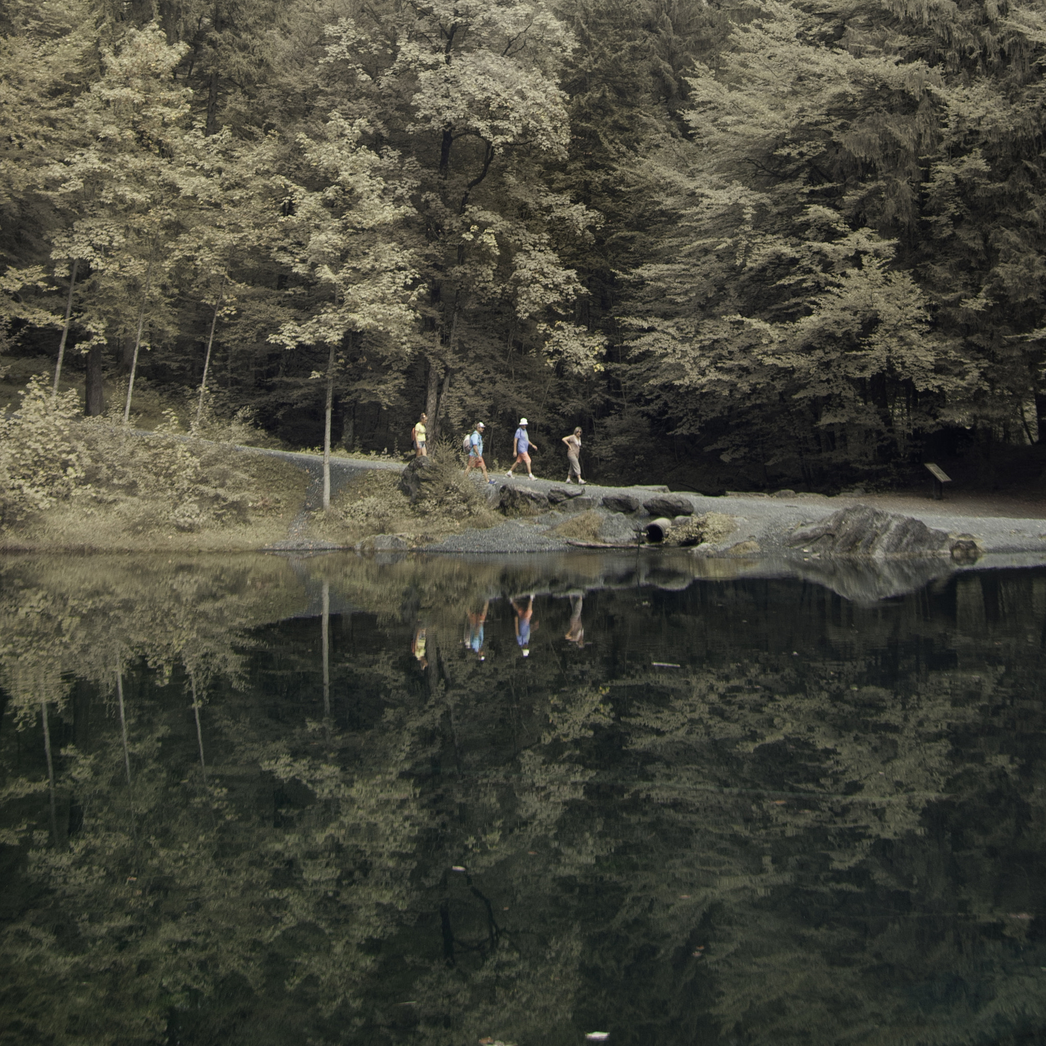 Pentax K20D sample photo. The reflective walk photography