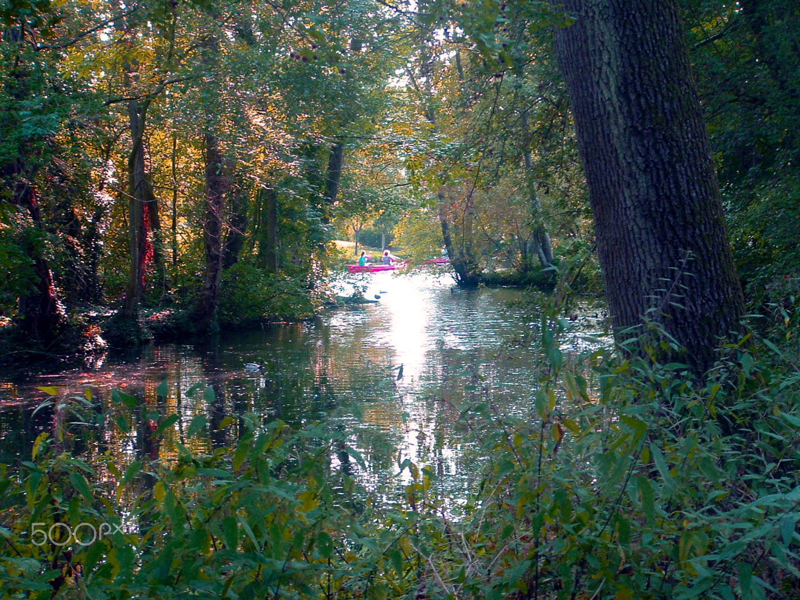 Fujifilm FinePix S3000 sample photo. Nature of zutphen netherland photography