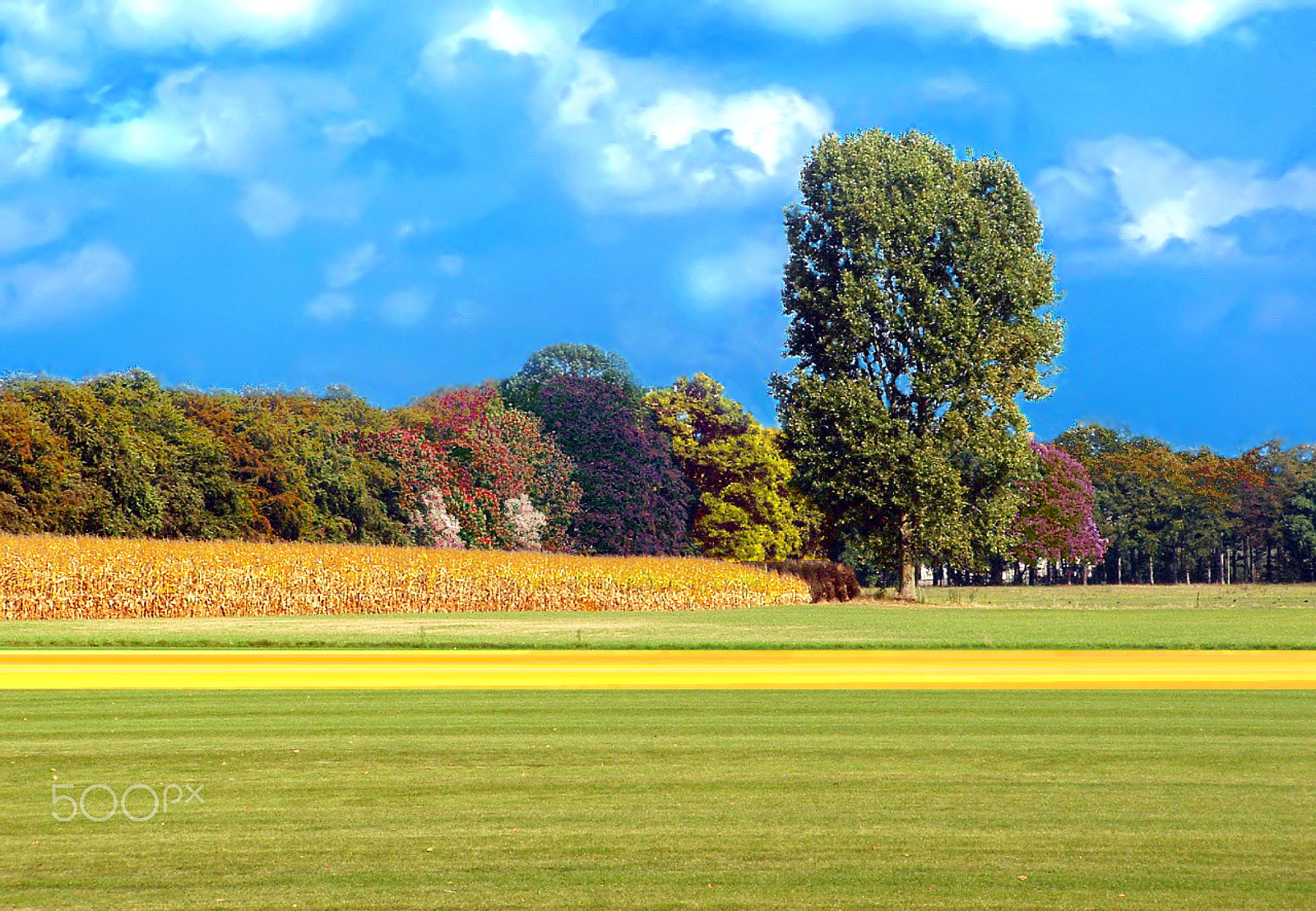 Fujifilm FinePix S3000 sample photo. Nature of zutphen netherland photography