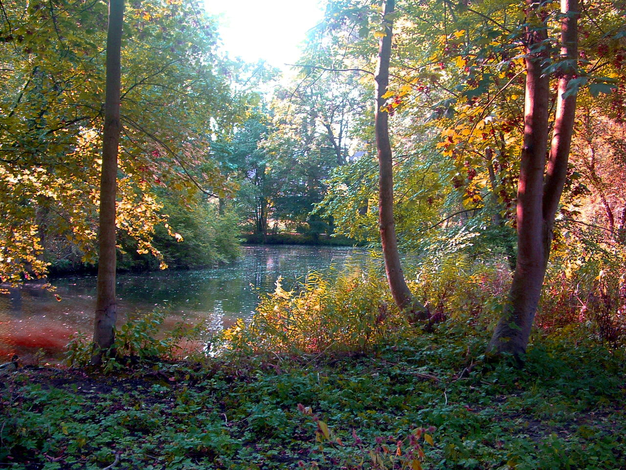 Fujifilm FinePix S3000 sample photo. Nature of zutphen netherland photography