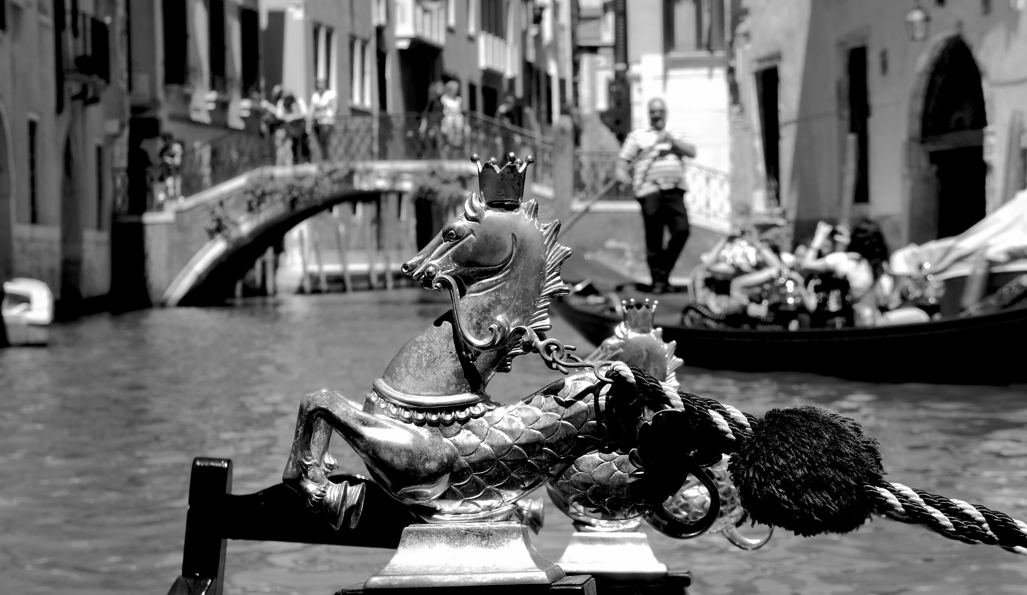 Sony Alpha NEX-5 + Sony E 18-55mm F3.5-5.6 OSS sample photo. Venice metal horse photography