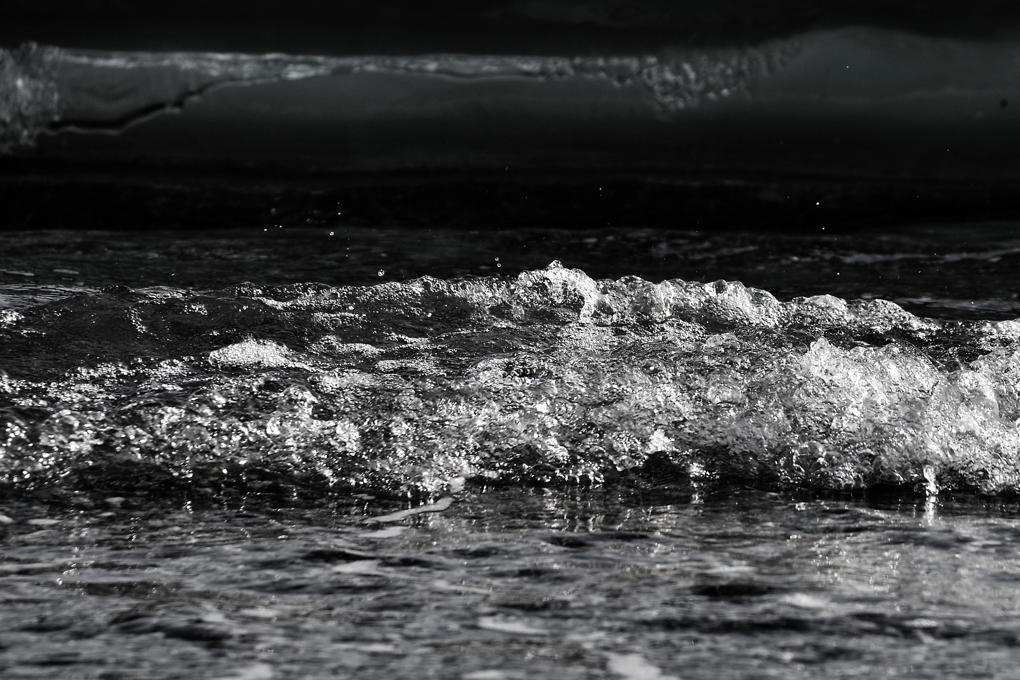 Nikon D600 sample photo. Jfo photography